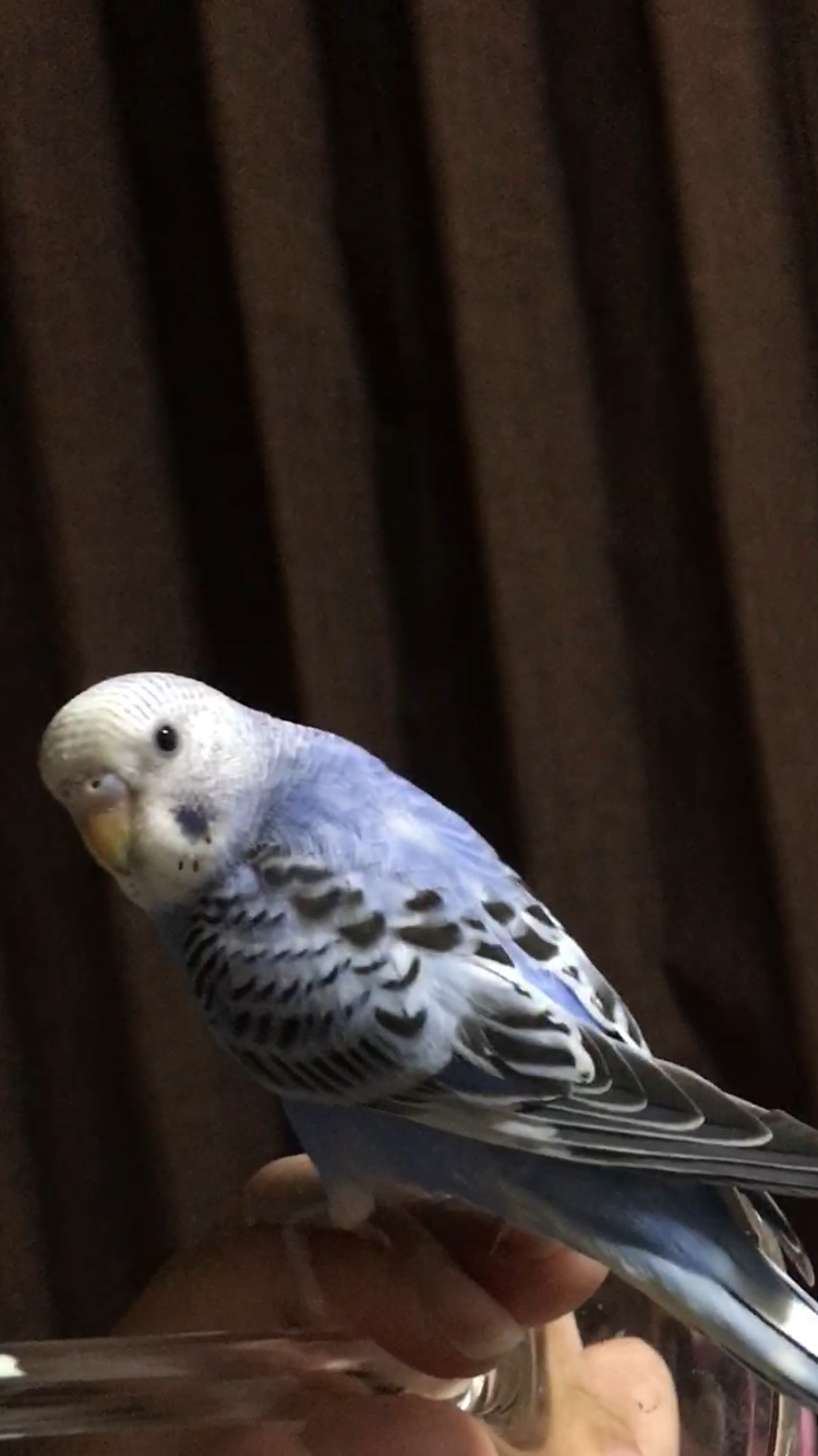 ユーザーの写真