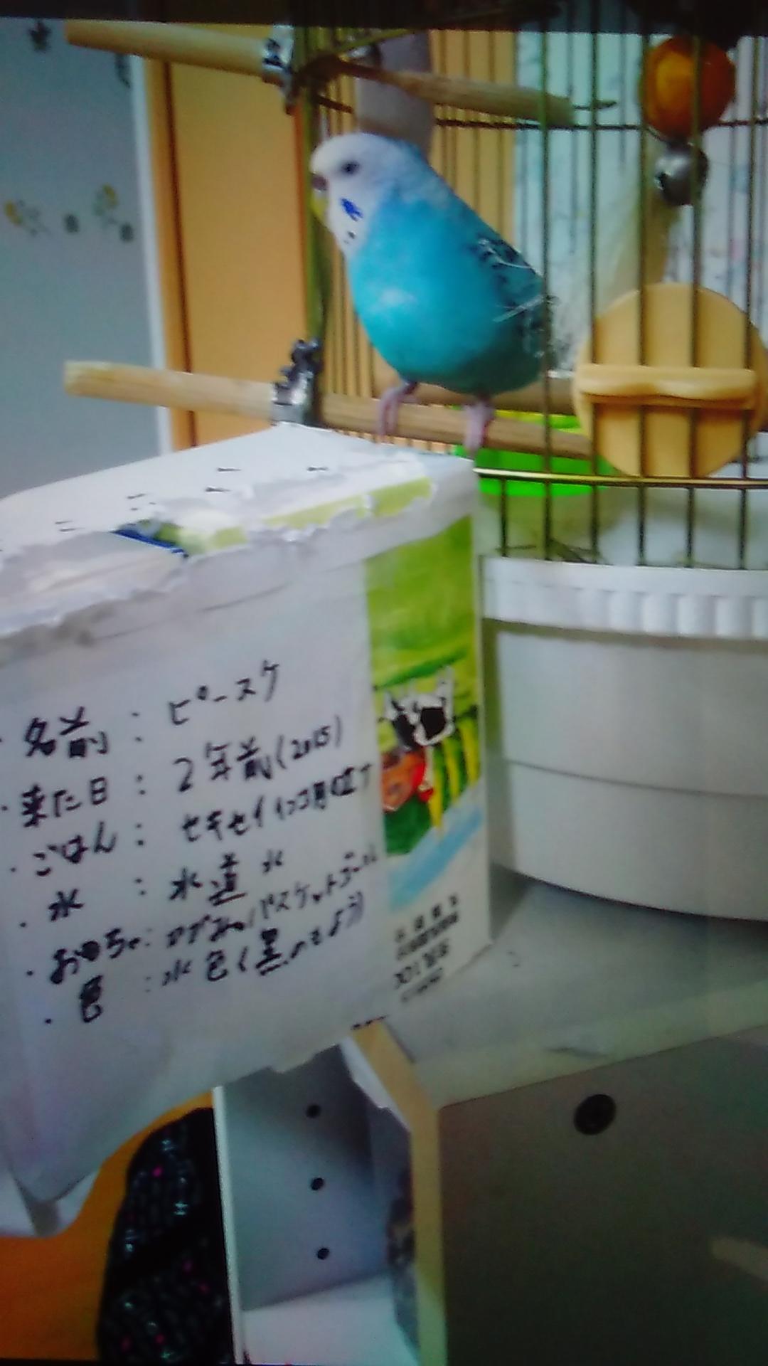 ユーザーの写真