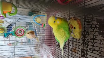 ユーザーの写真