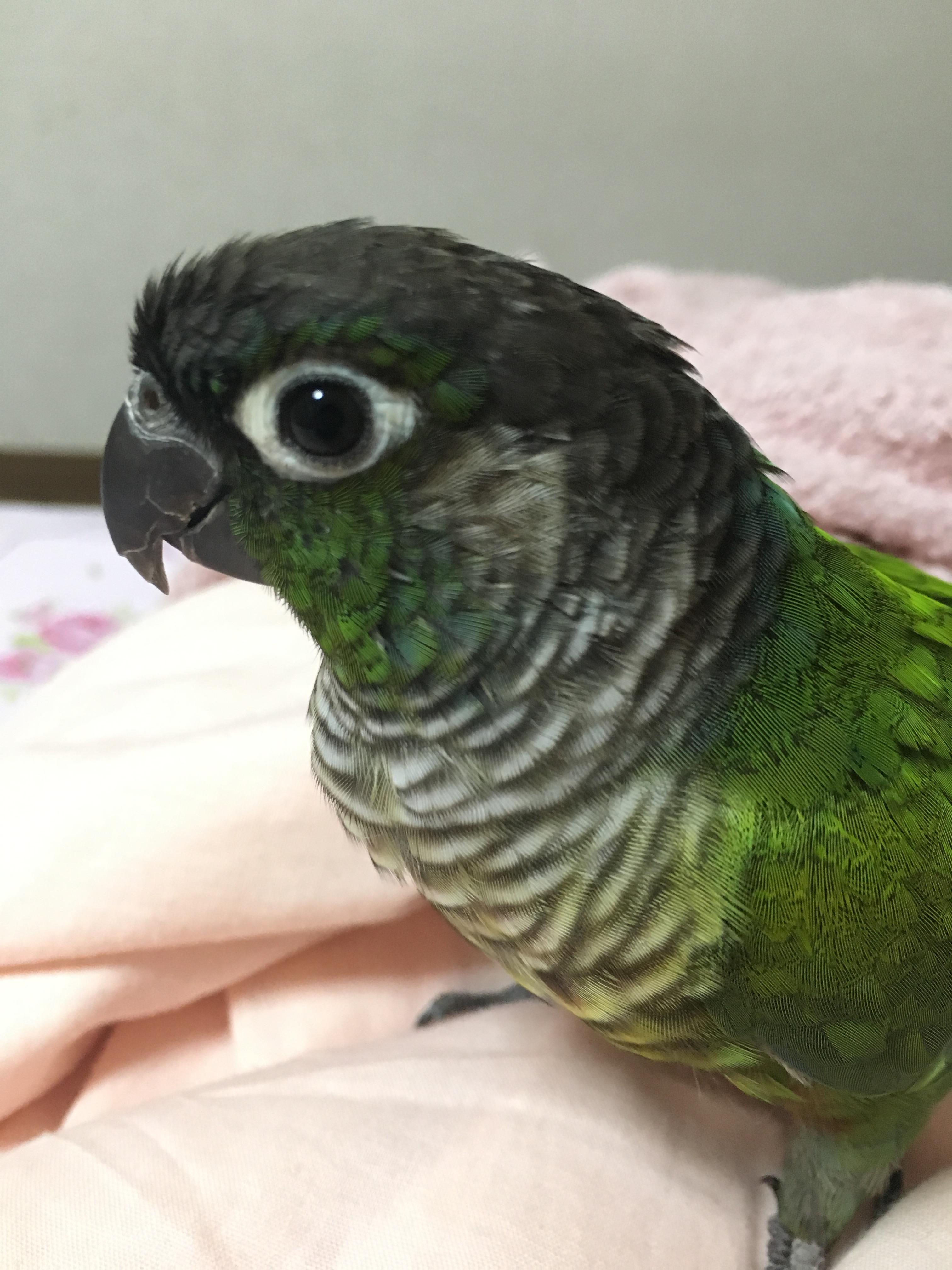 ユーザーの写真
