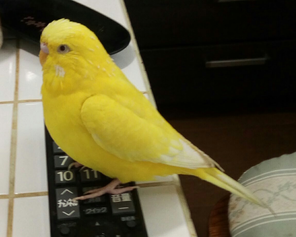 ユーザーの写真