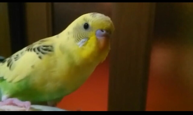 ユーザーの写真