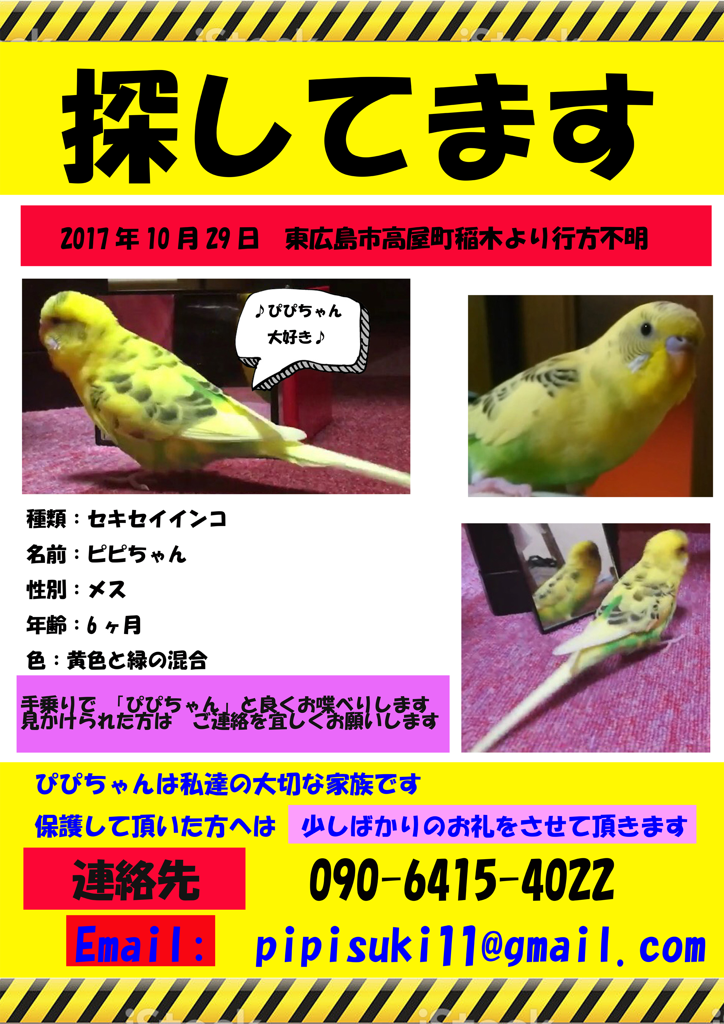 ユーザーの写真