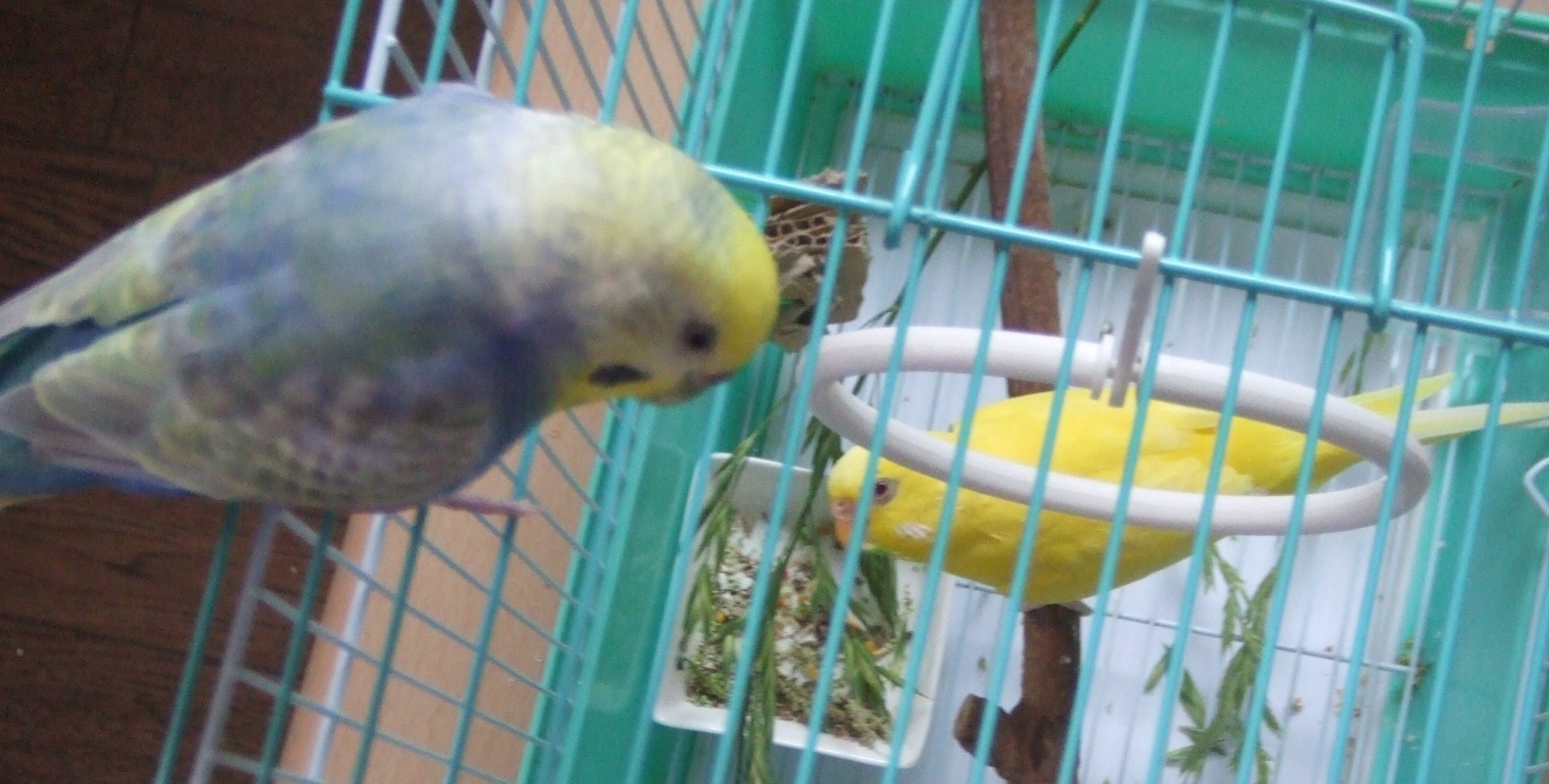 ユーザーの写真
