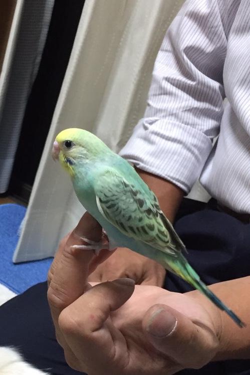ユーザーの写真