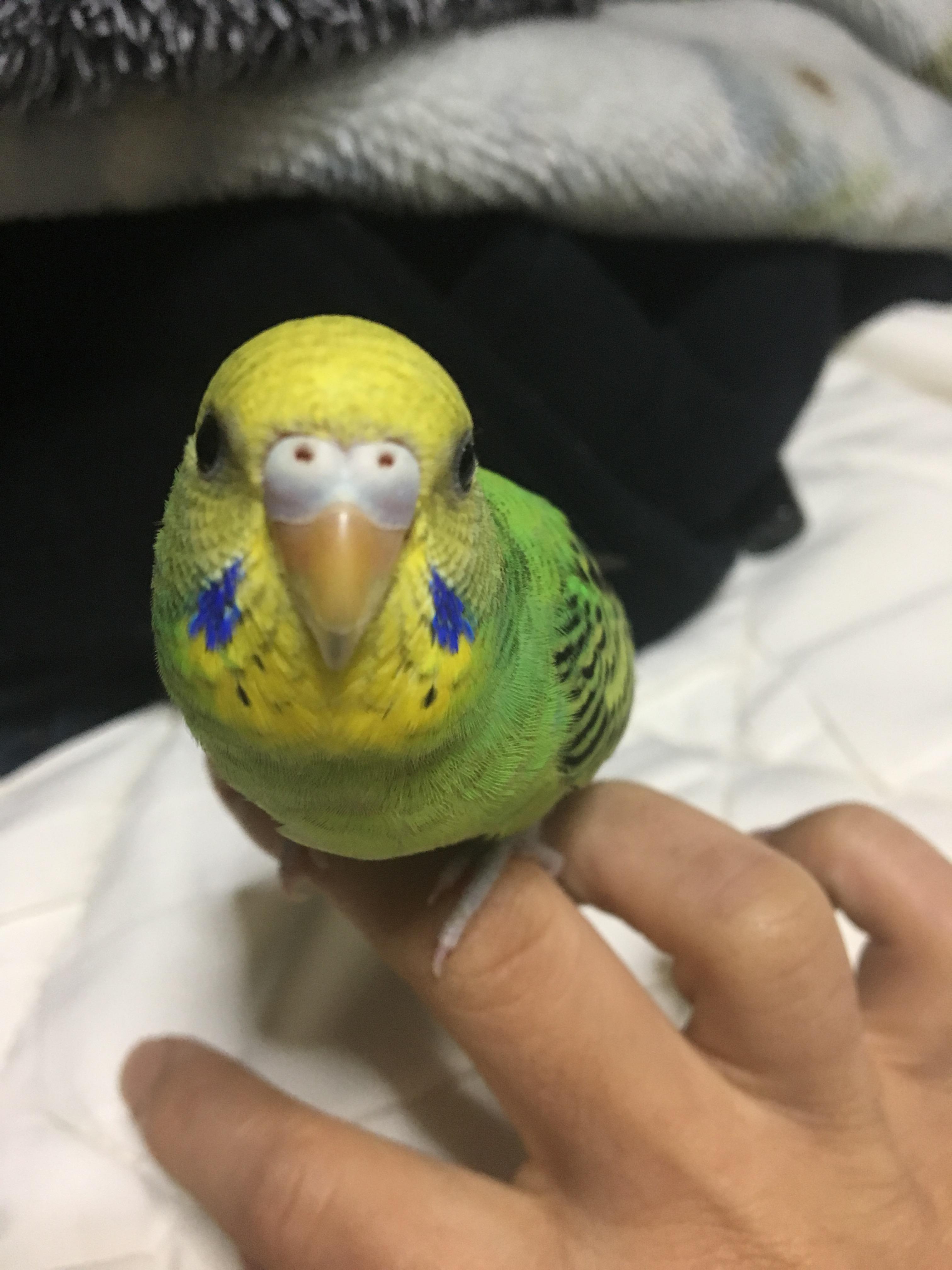 ユーザーの写真
