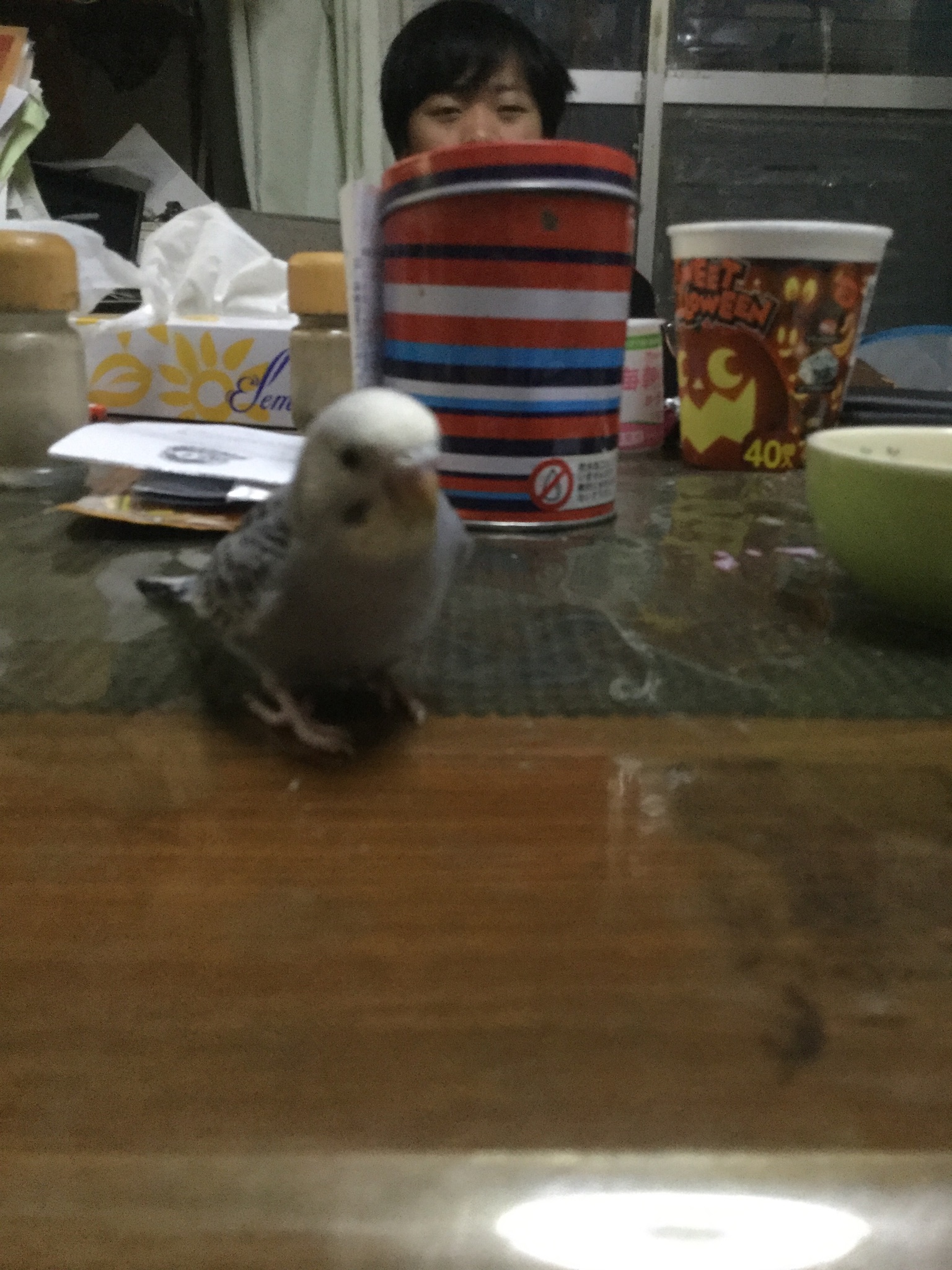 ユーザーの写真