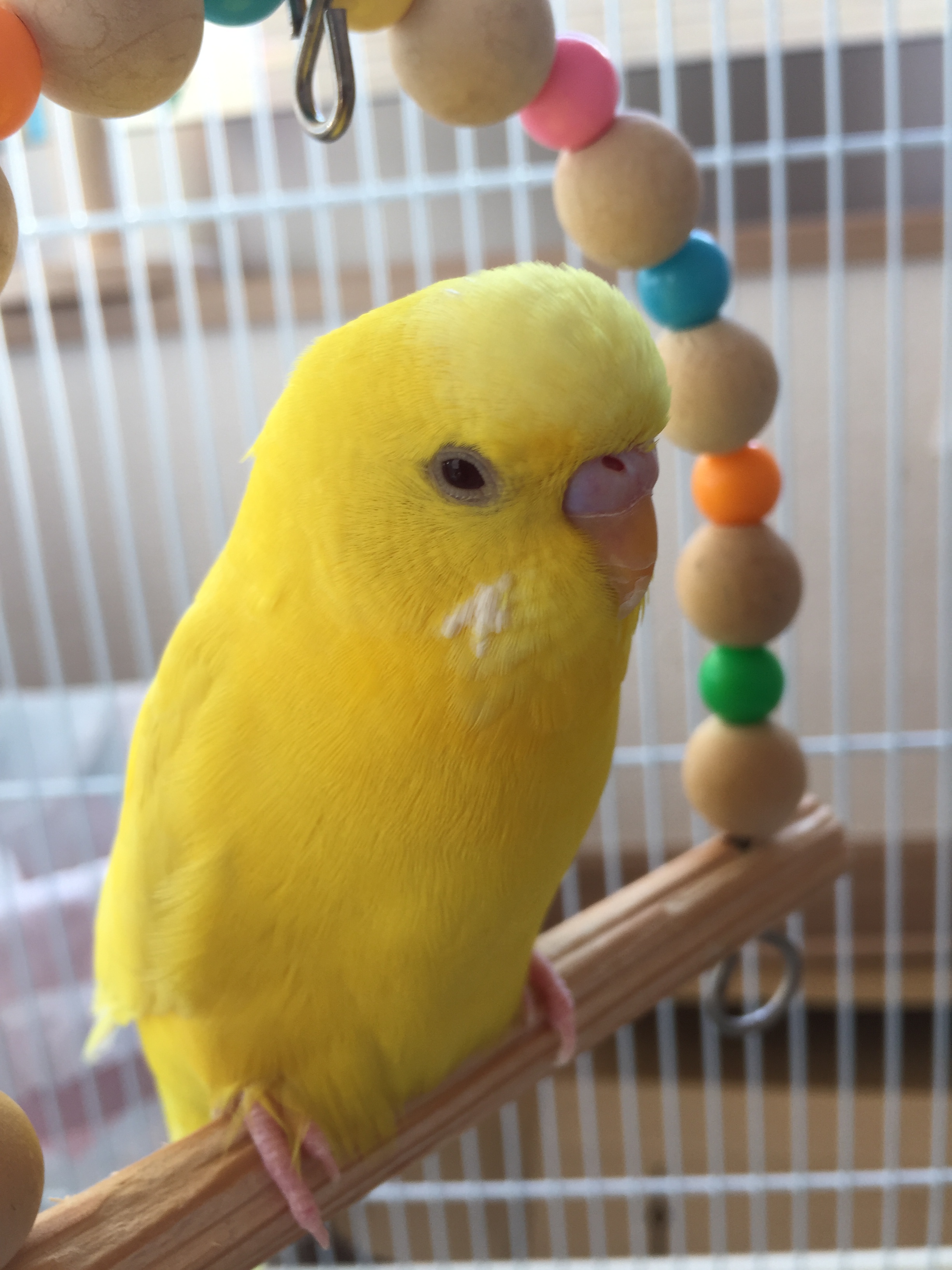 ユーザーの写真