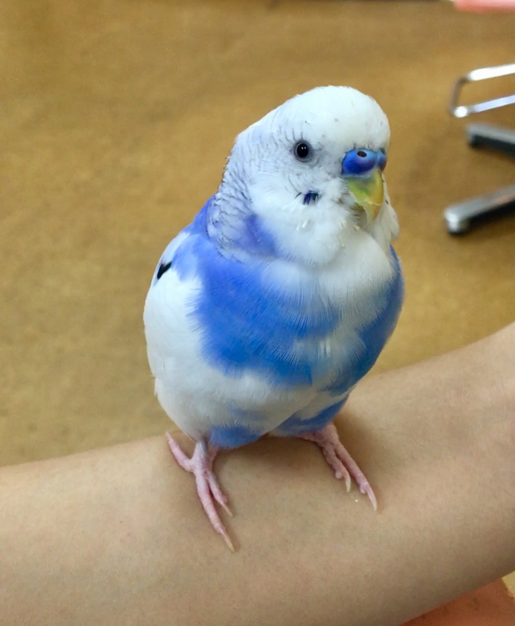 ユーザーの写真