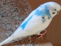 ユーザーの写真