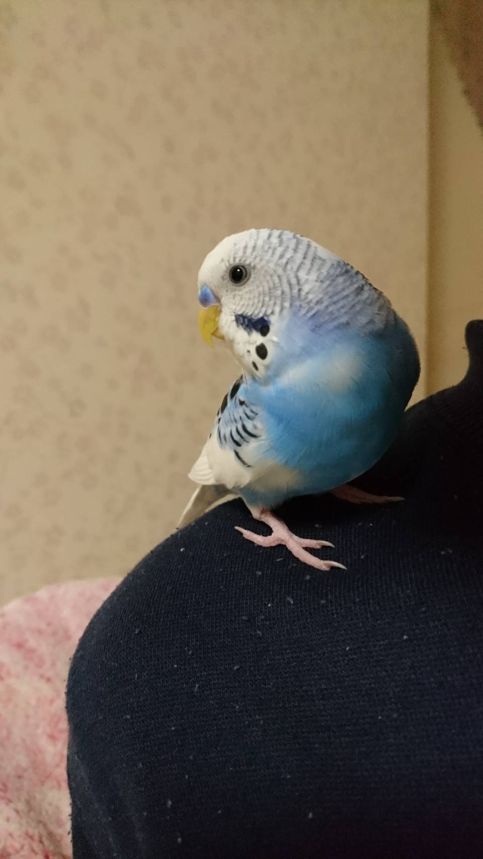 ユーザーの写真