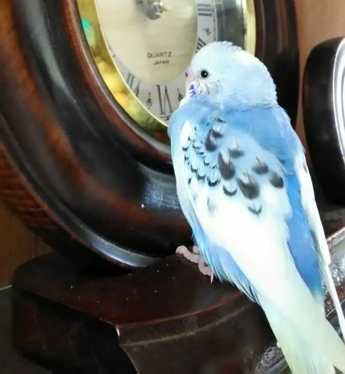ユーザーの写真