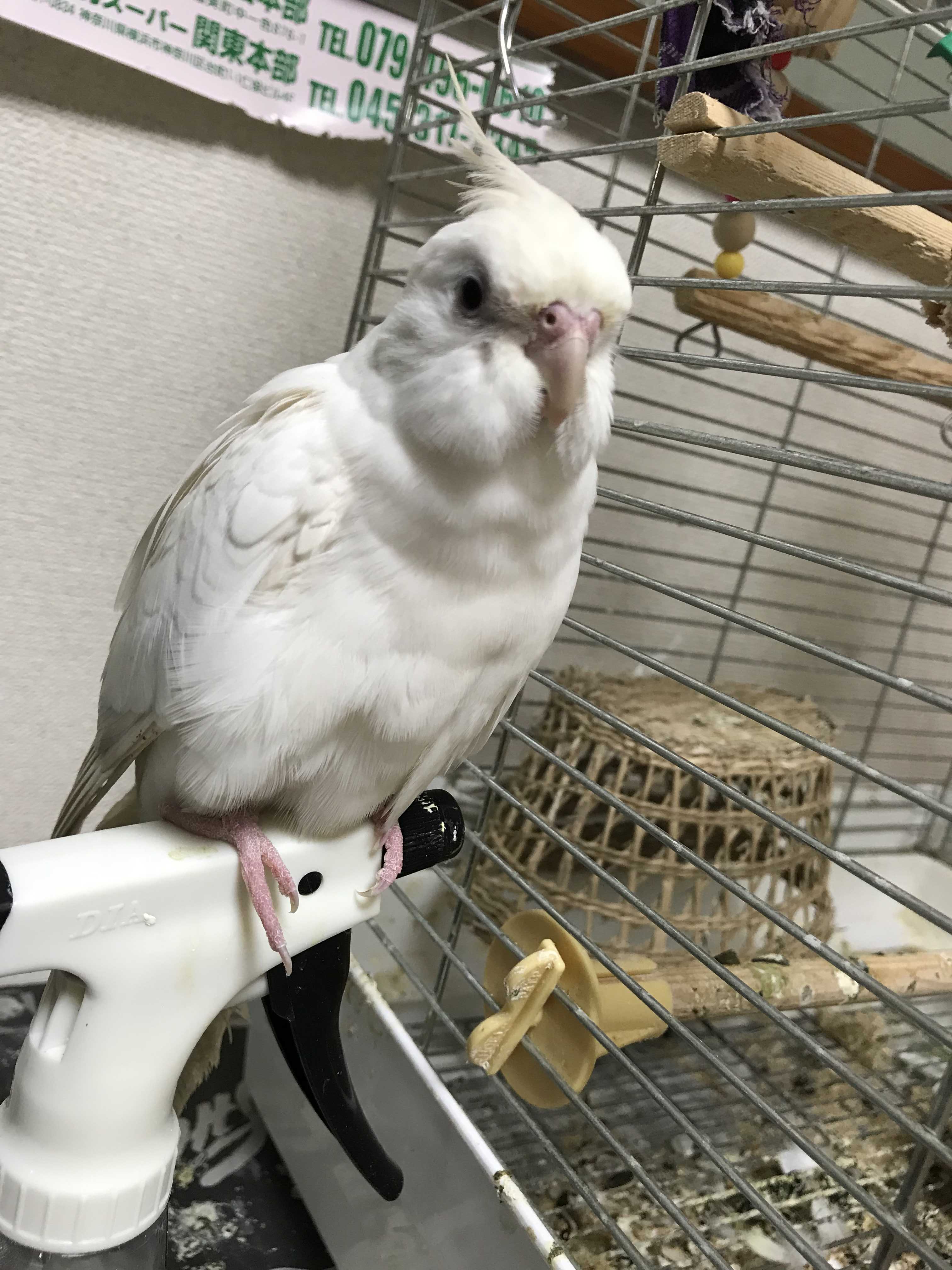 ユーザーの写真