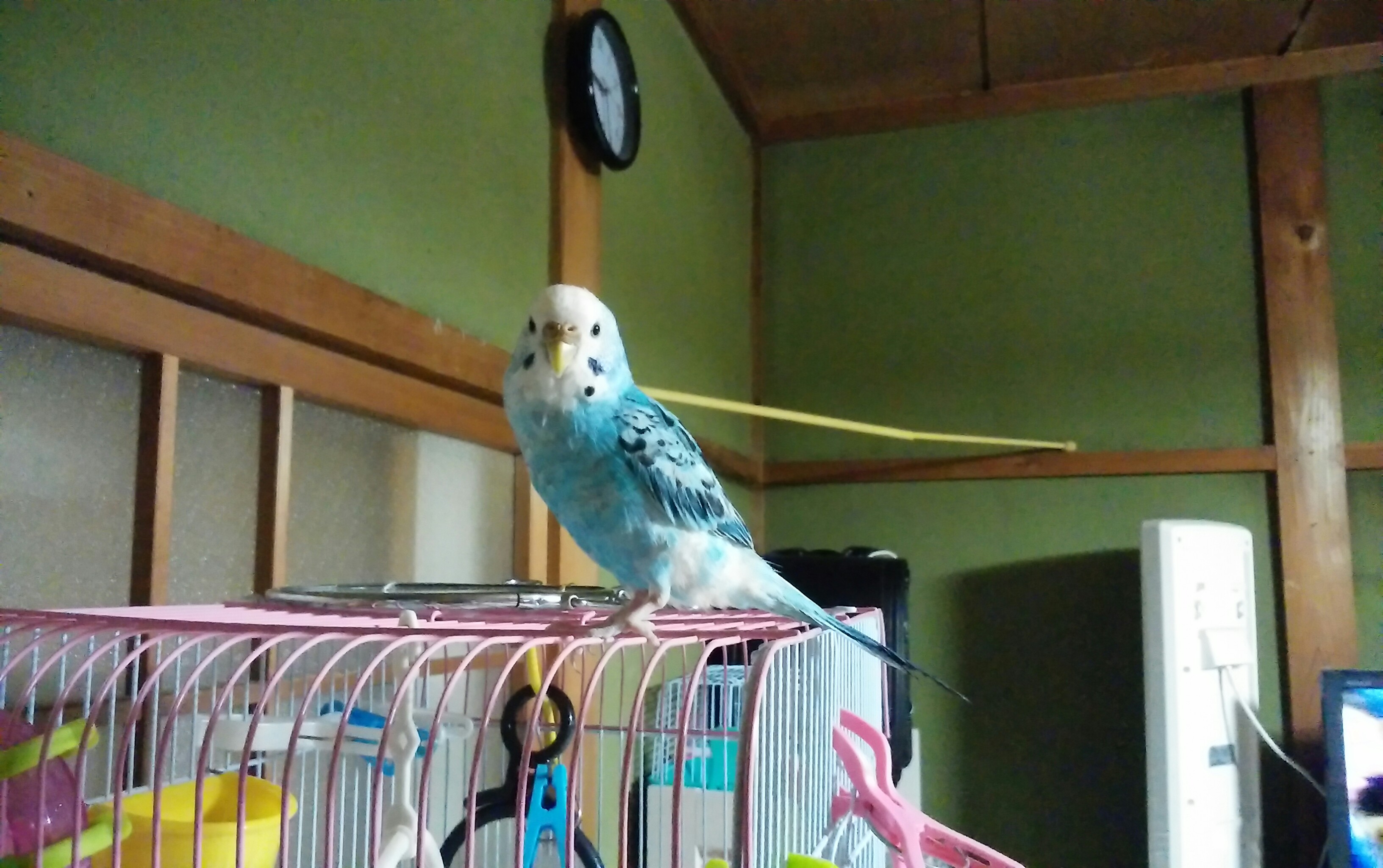 ユーザーの写真