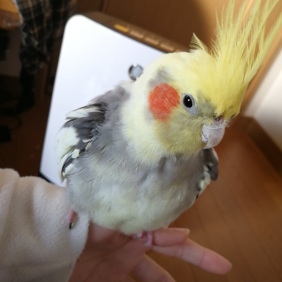 ユーザーの写真