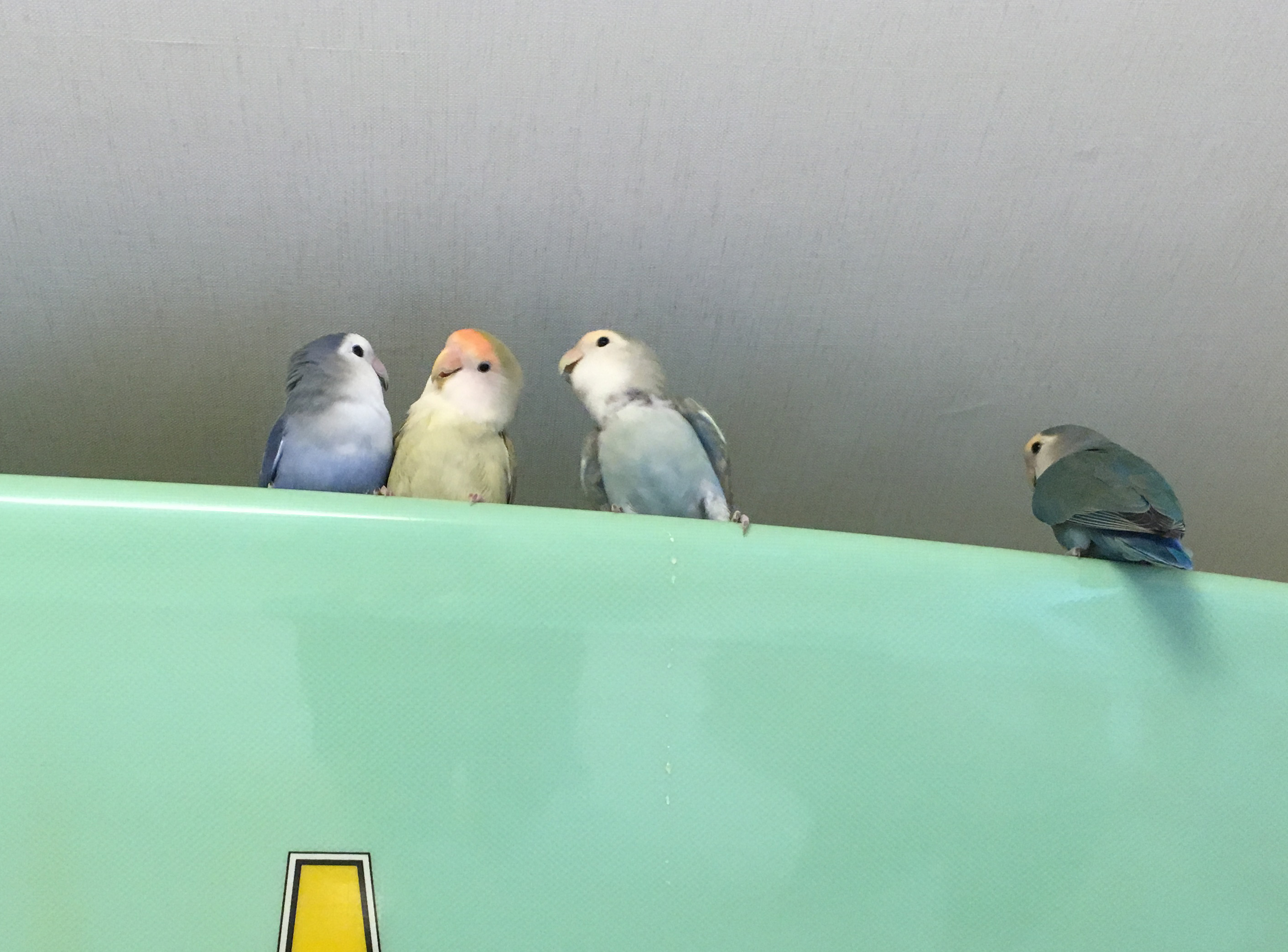 ユーザーの写真