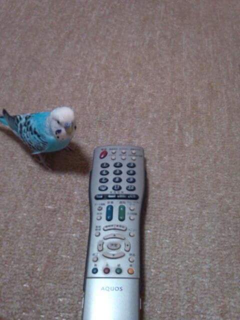 ユーザーの写真
