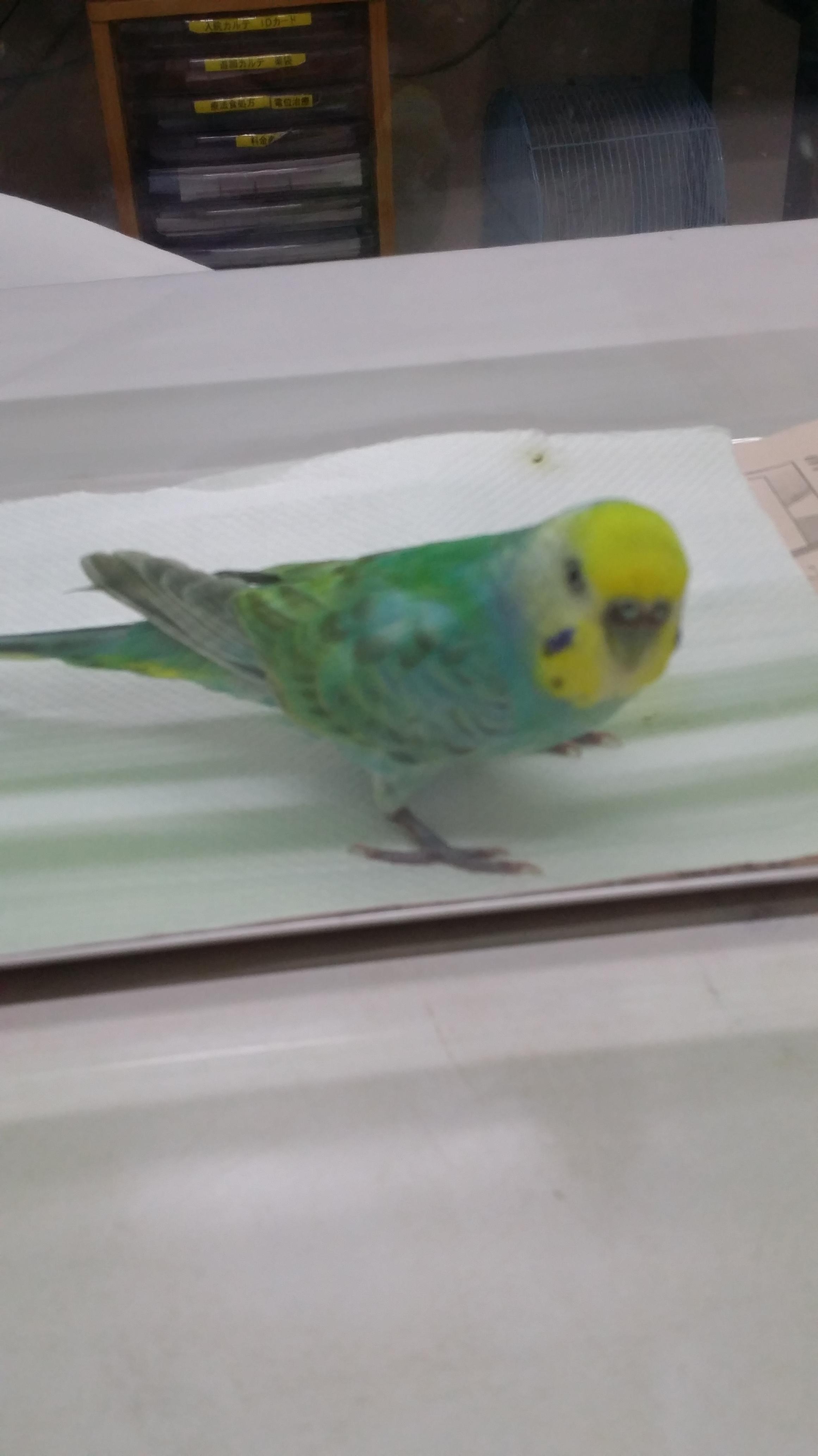 ユーザーの写真