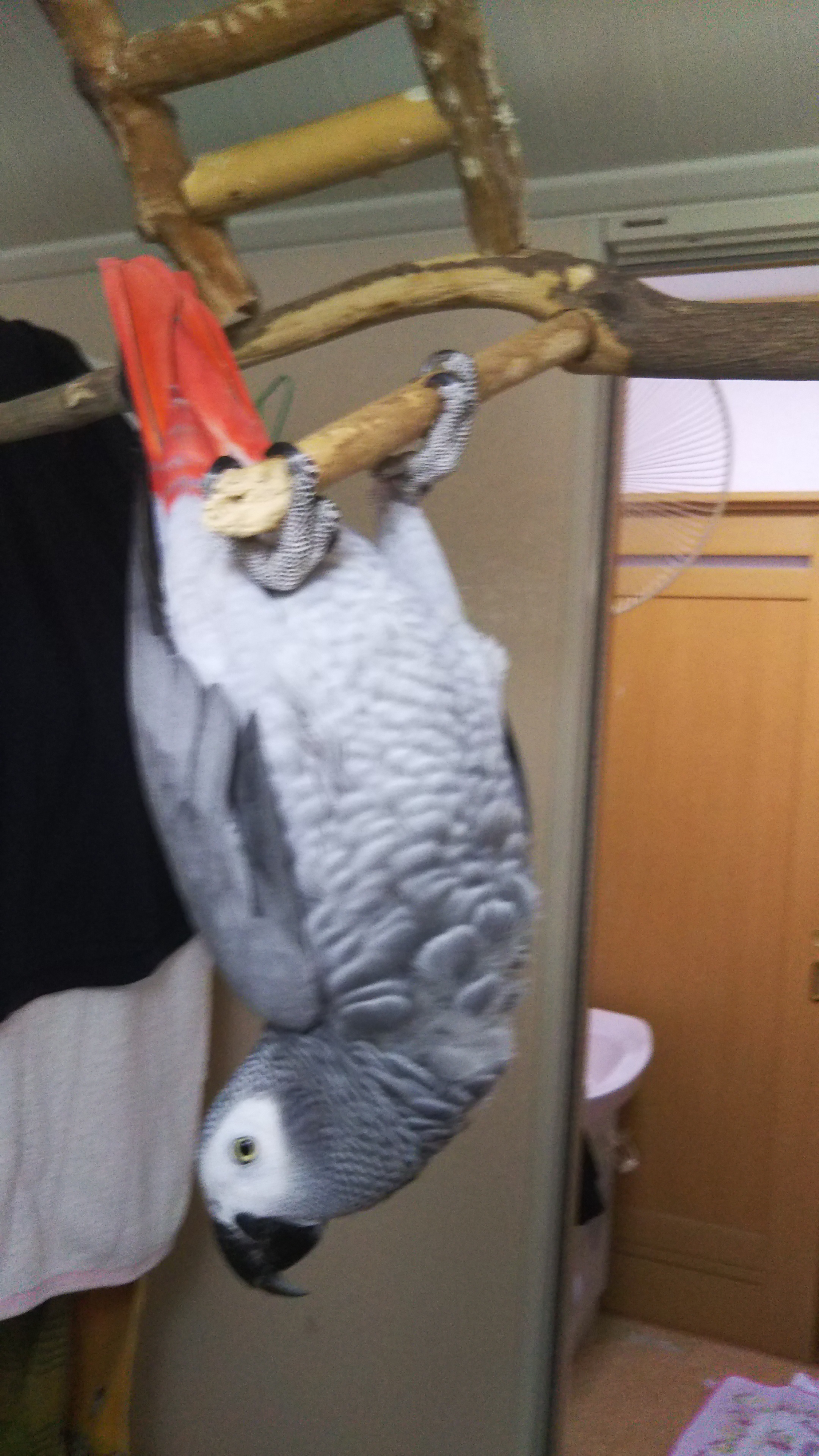 ユーザーの写真