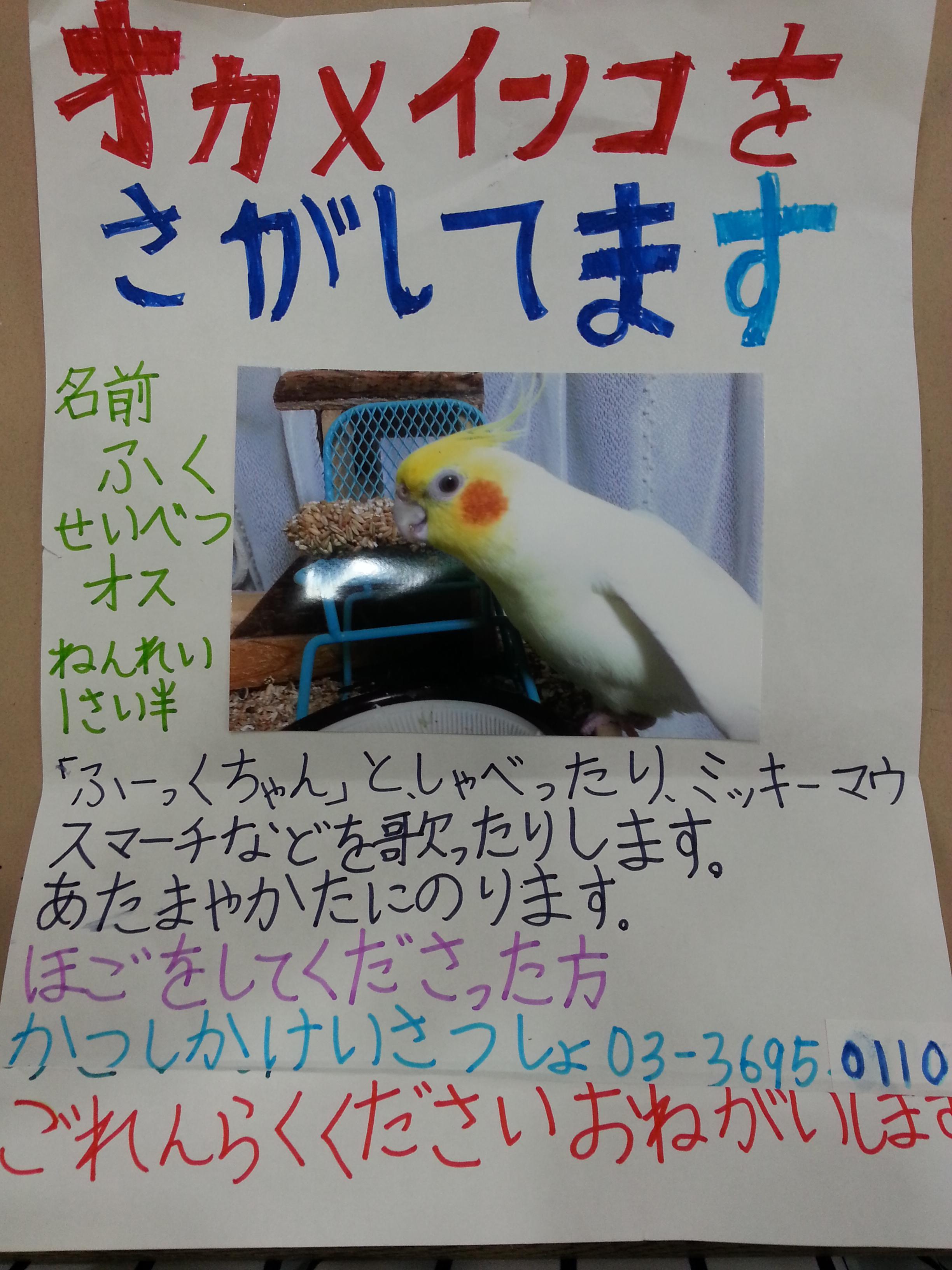 ユーザーの写真