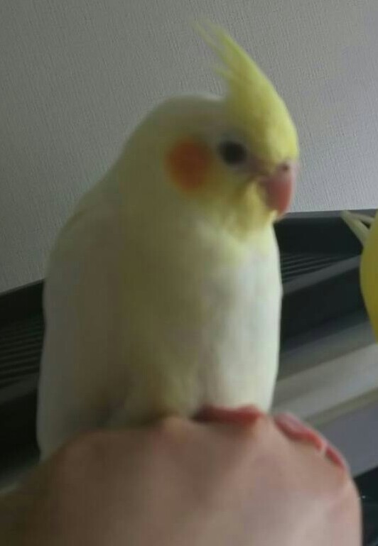 ユーザーの写真