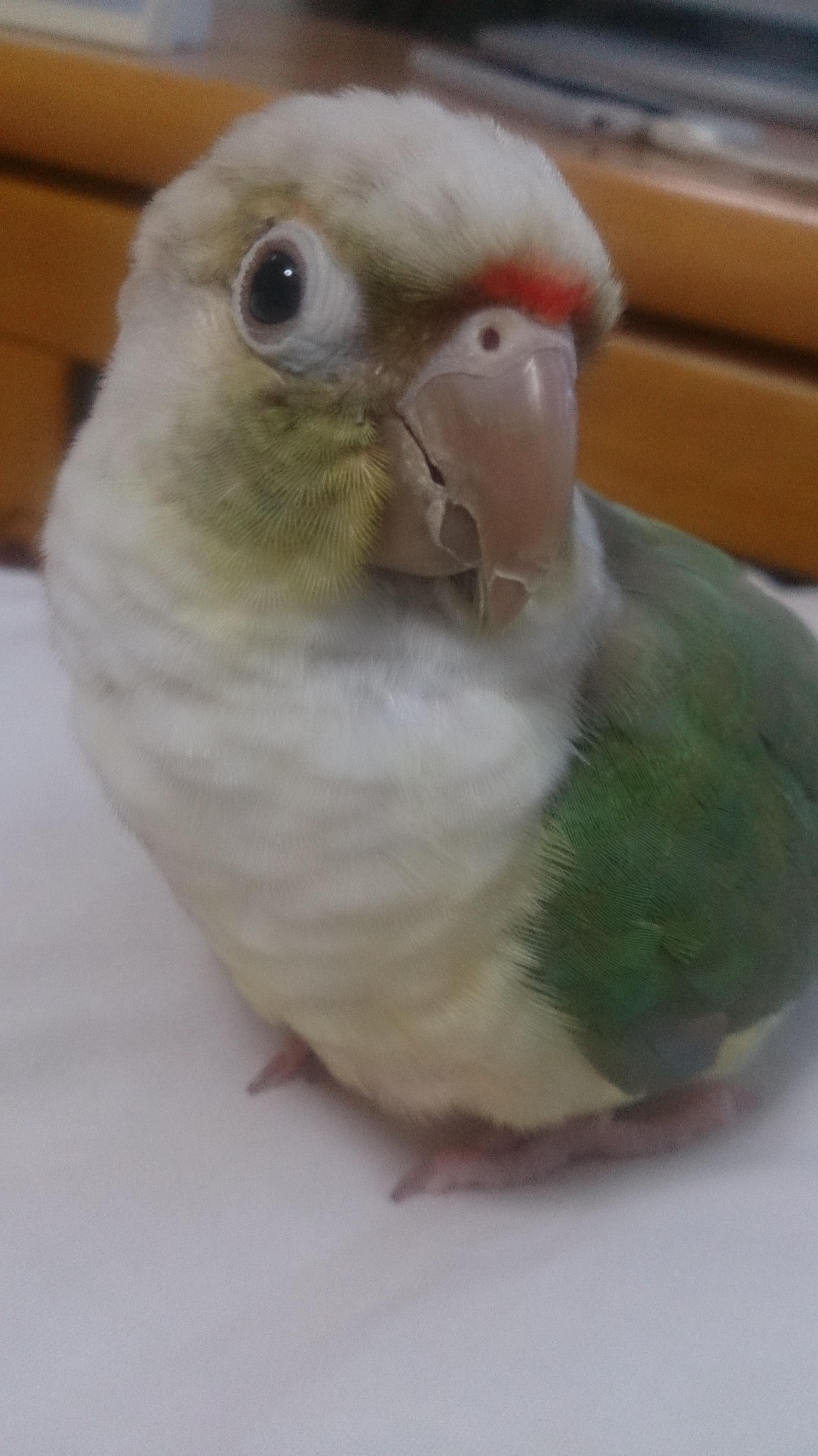 ユーザーの写真