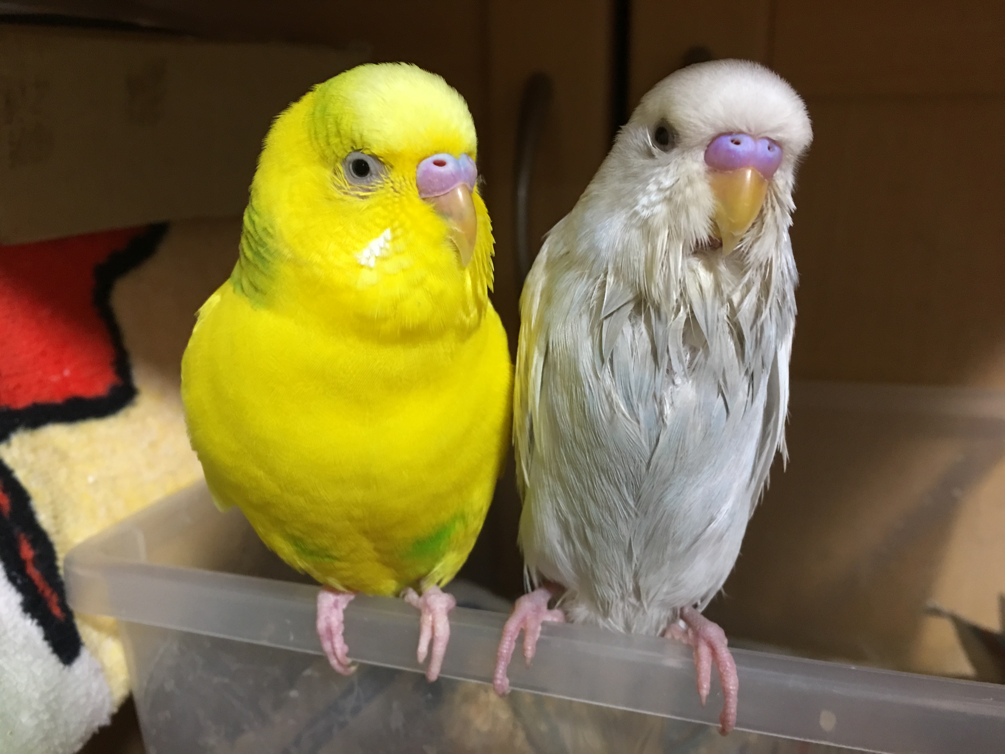 ユーザーの写真
