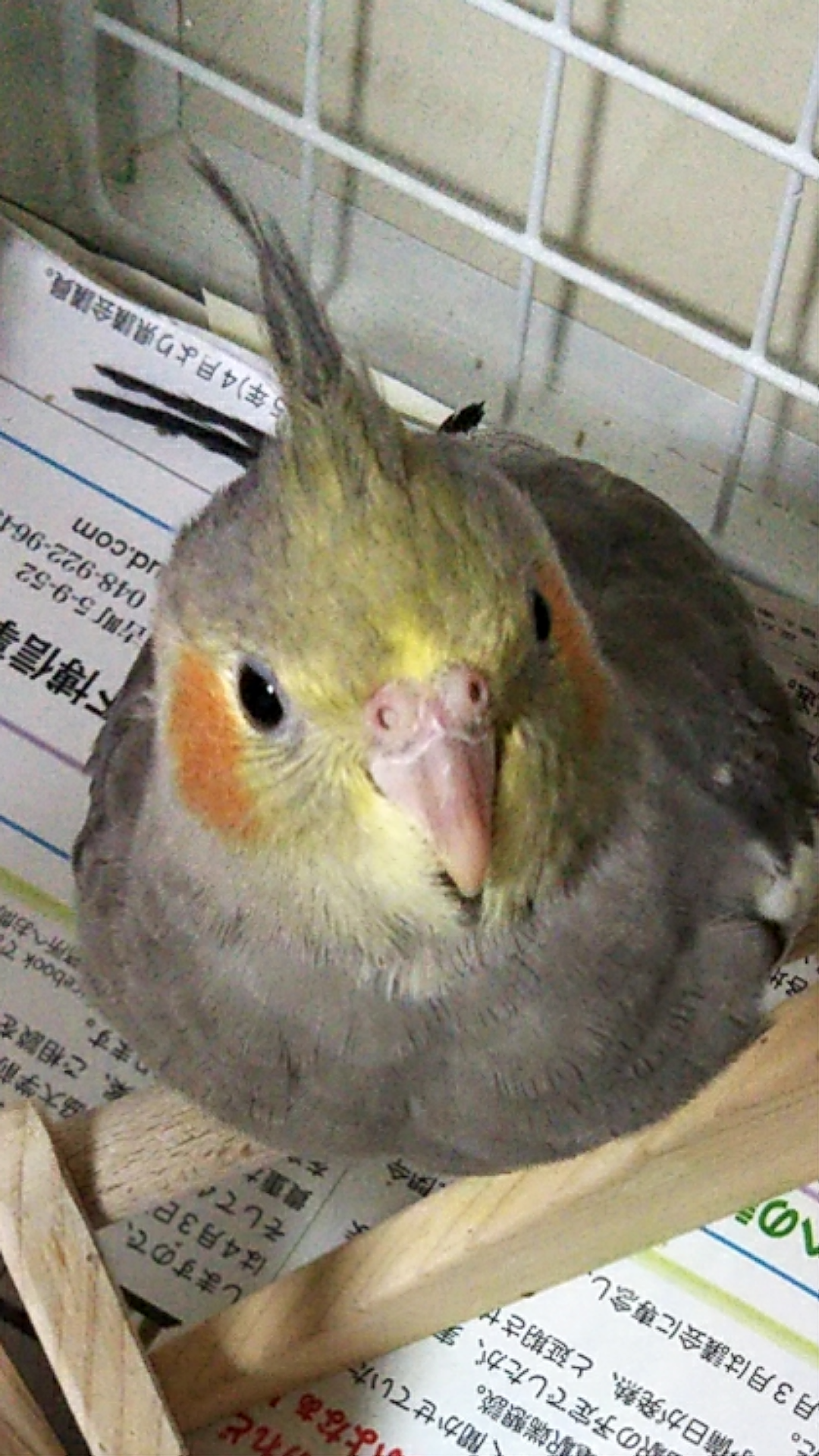 ユーザーの写真