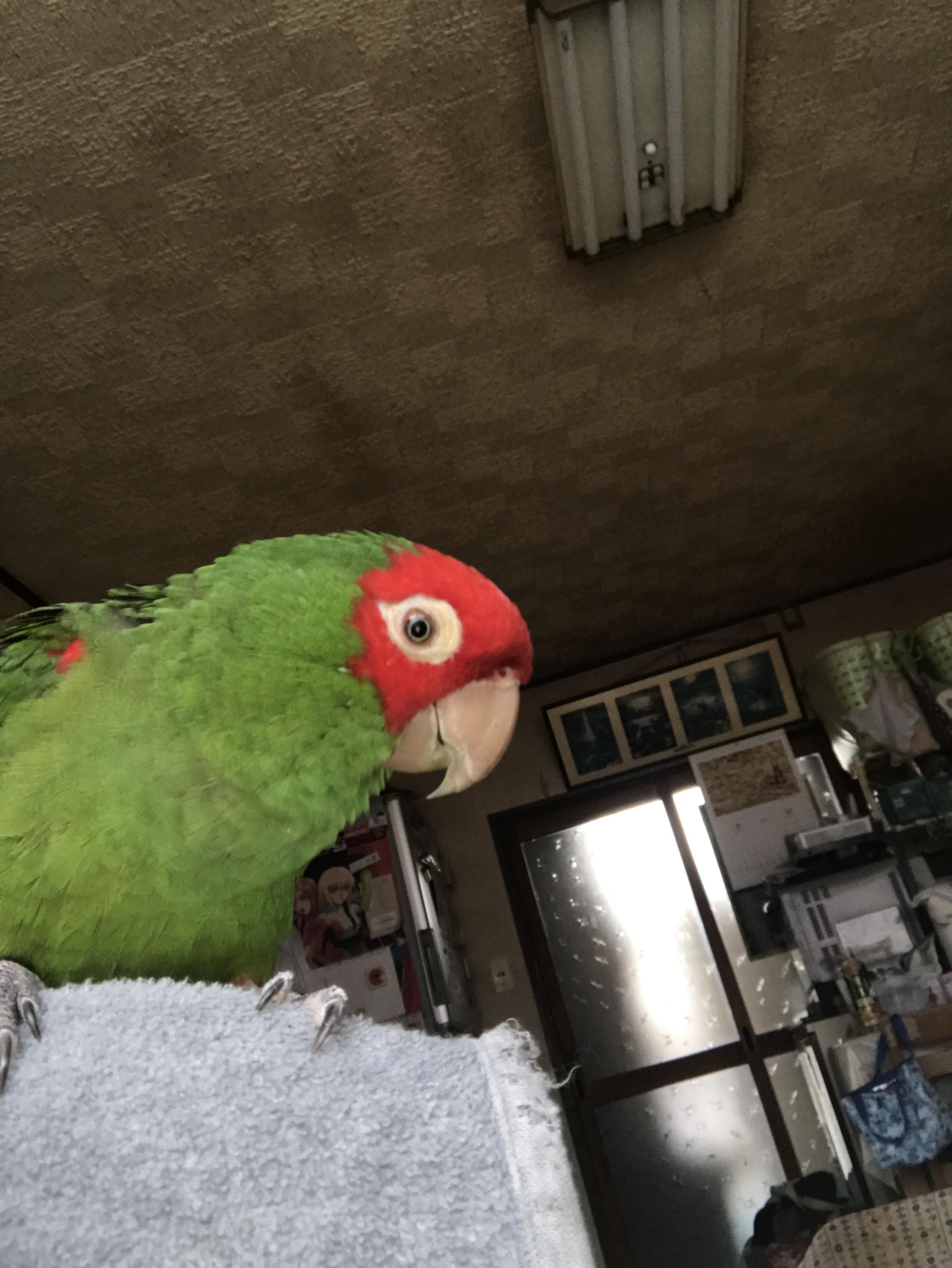 ユーザーの写真