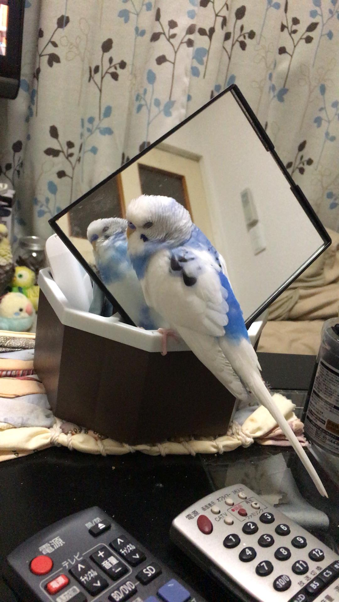 ユーザーの写真