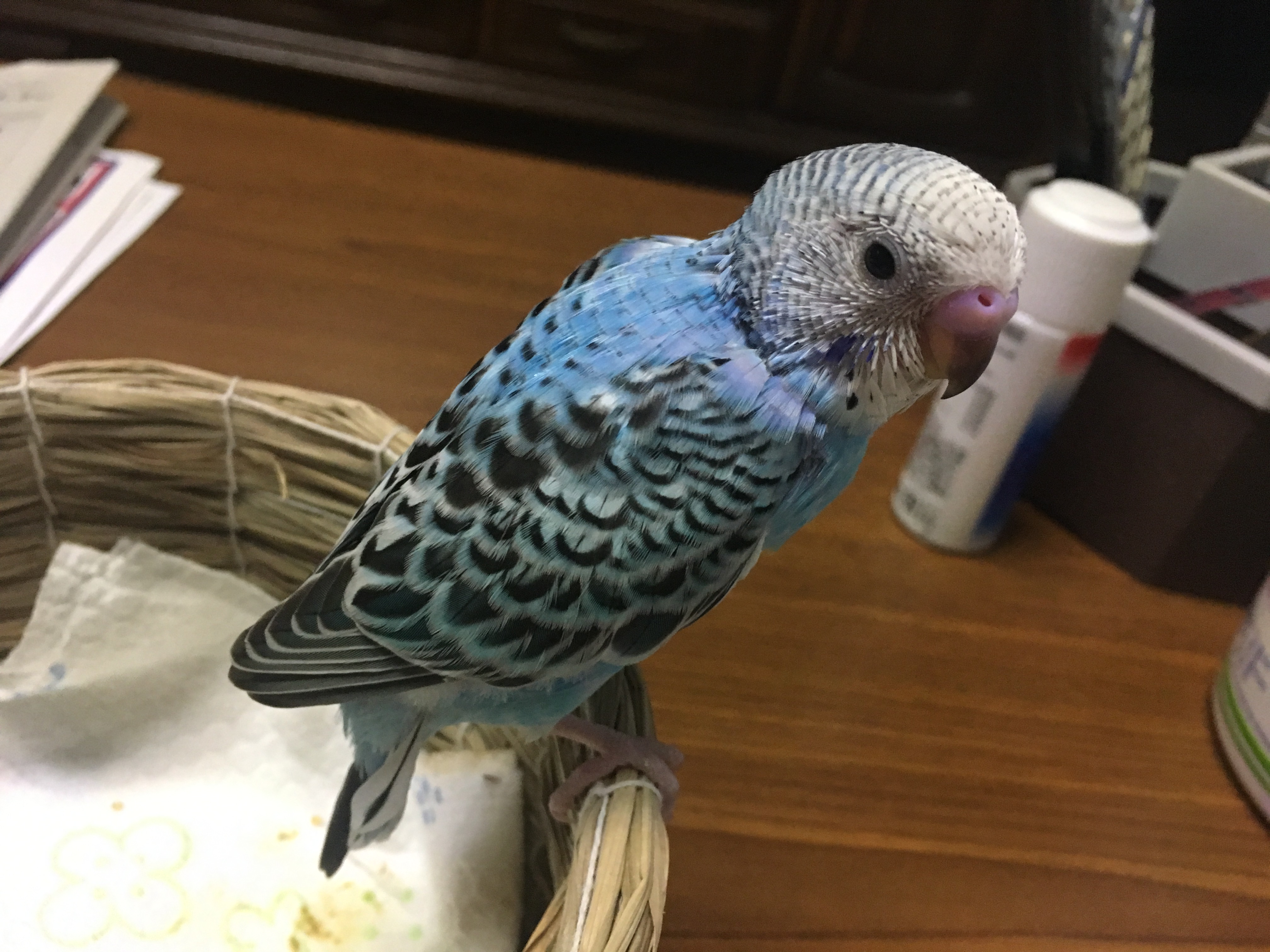 ユーザーの写真