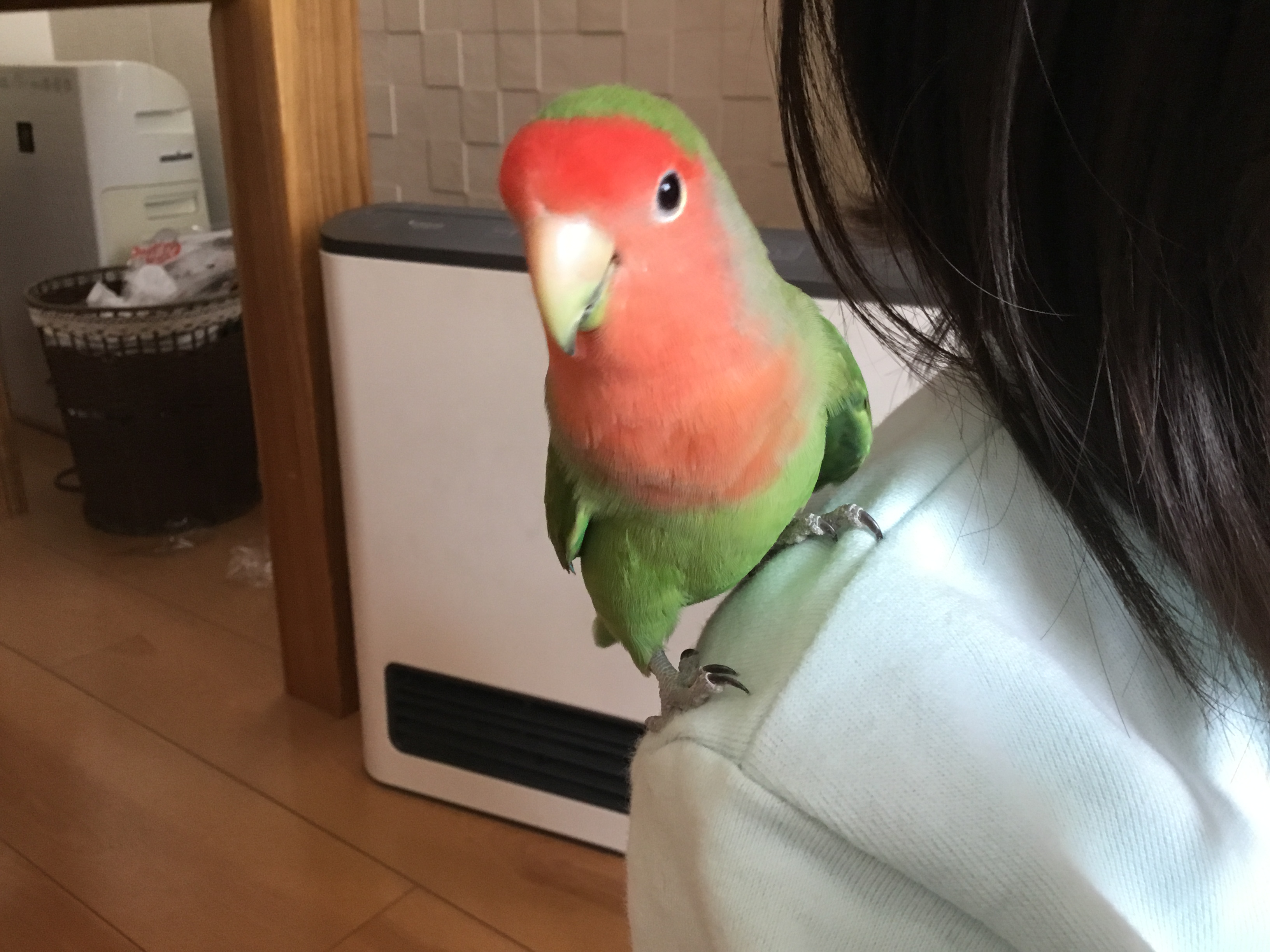 ユーザーの写真