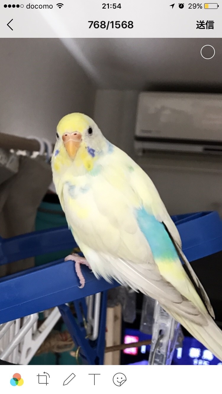ユーザーの写真