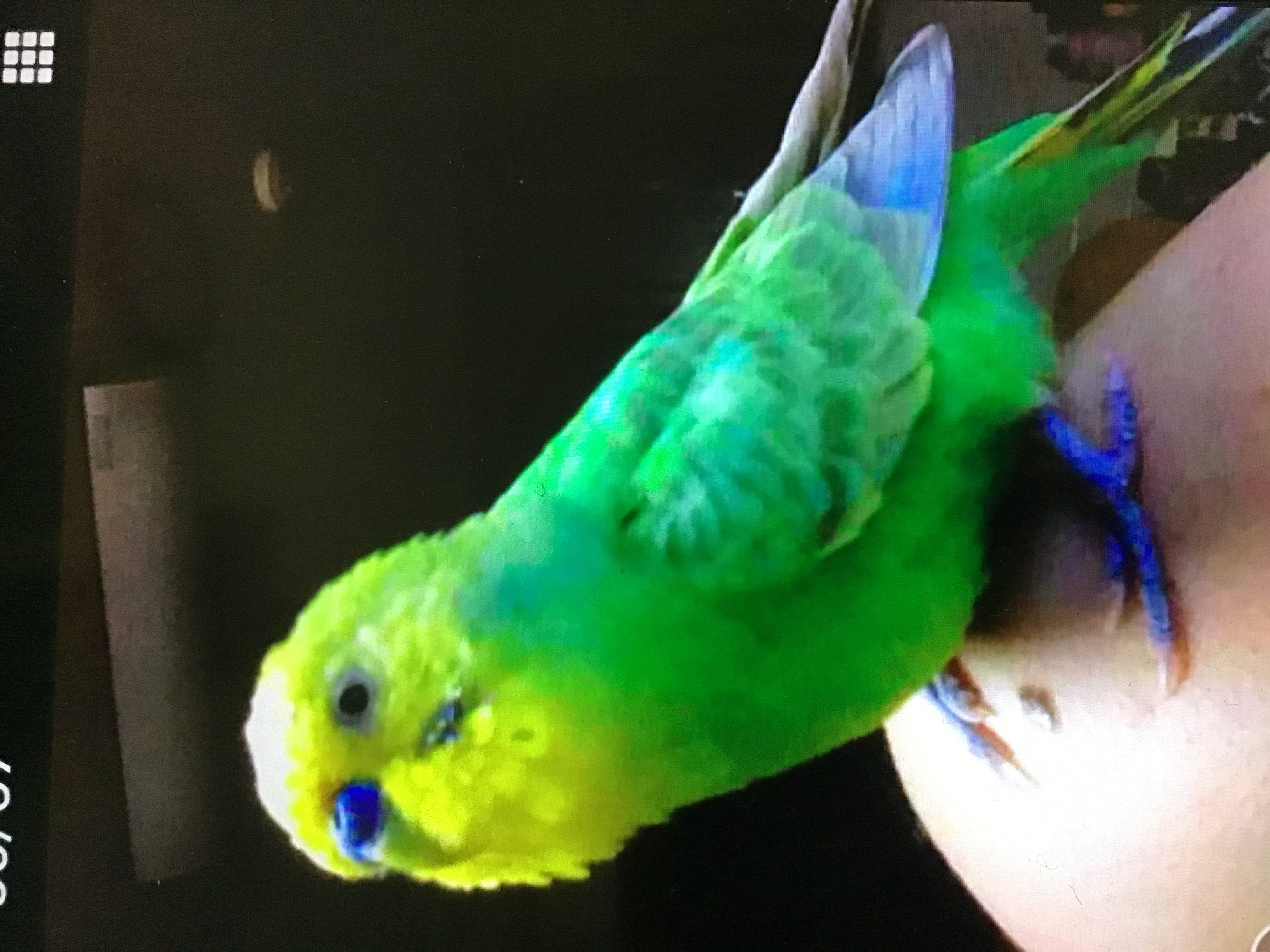 ユーザーの写真