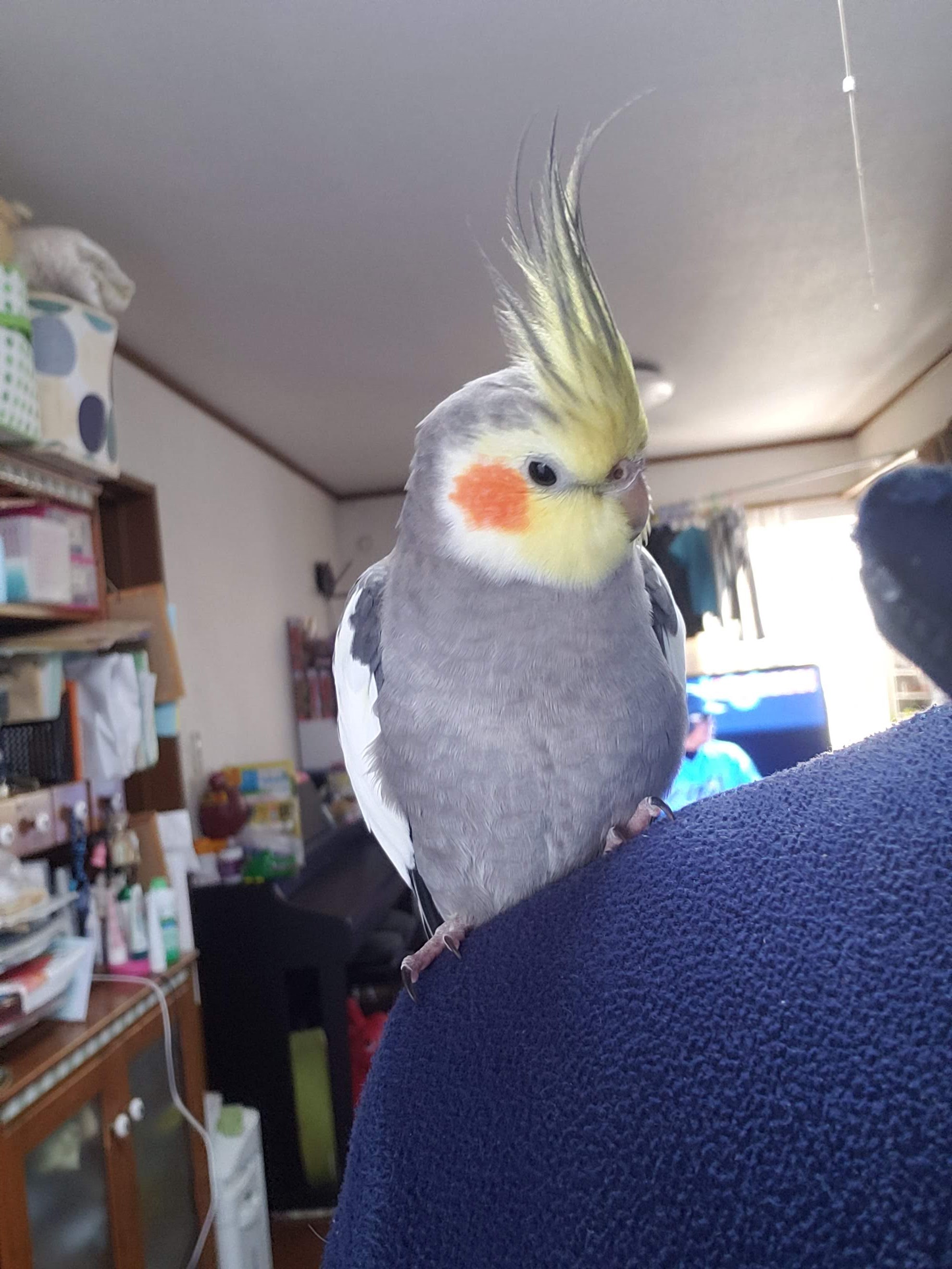 ユーザーの写真