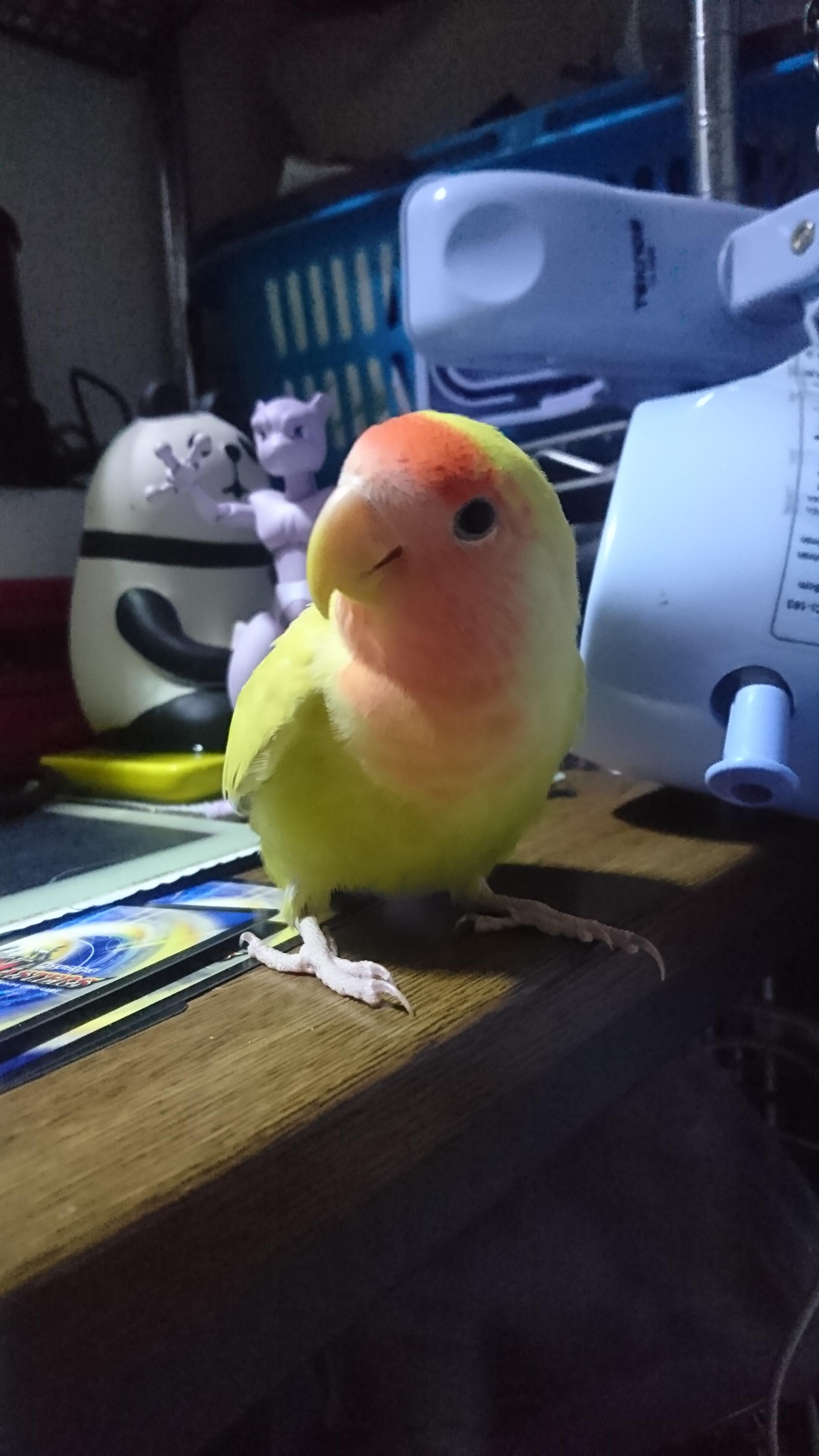 ユーザーの写真