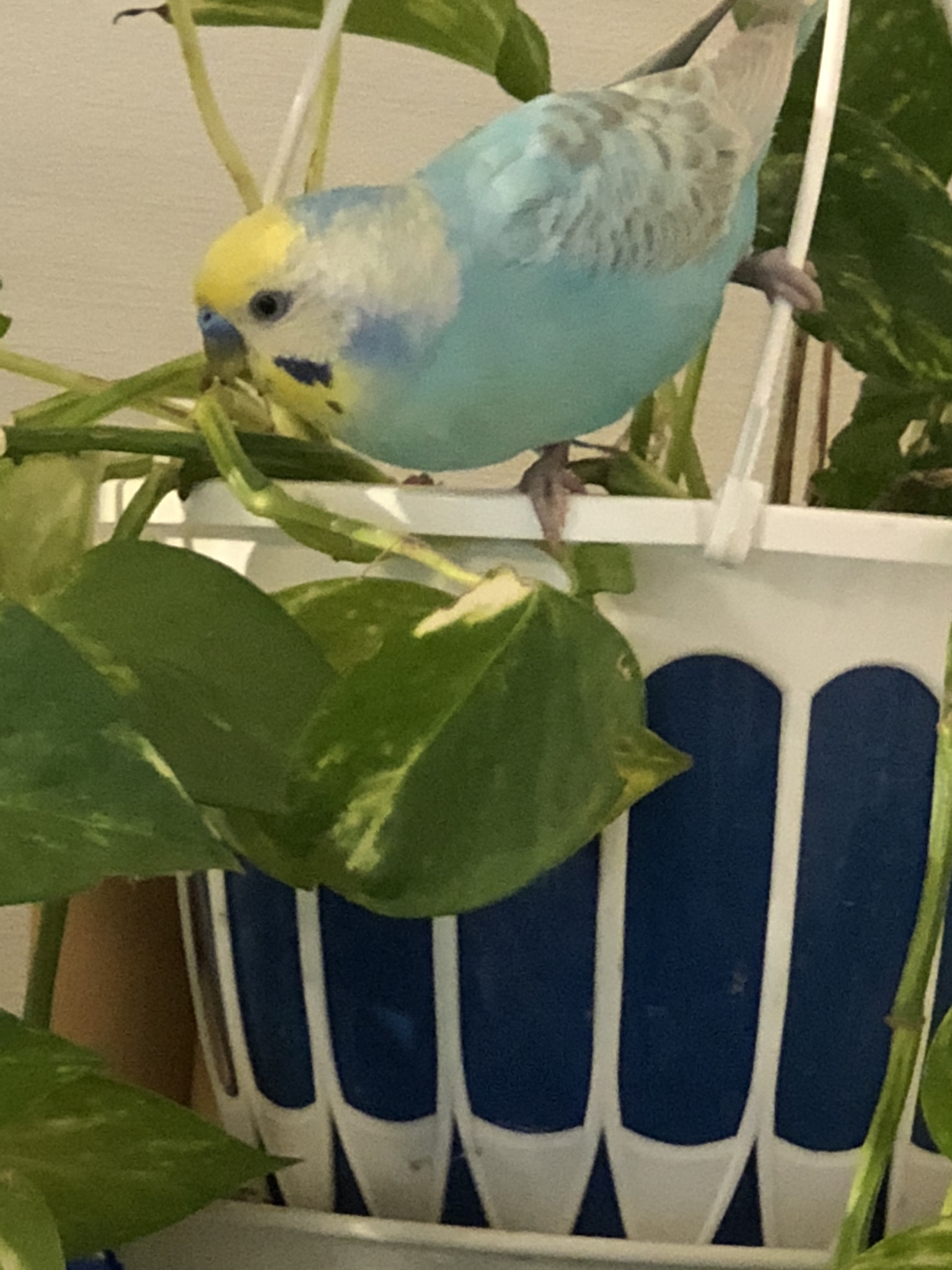 ユーザーの写真