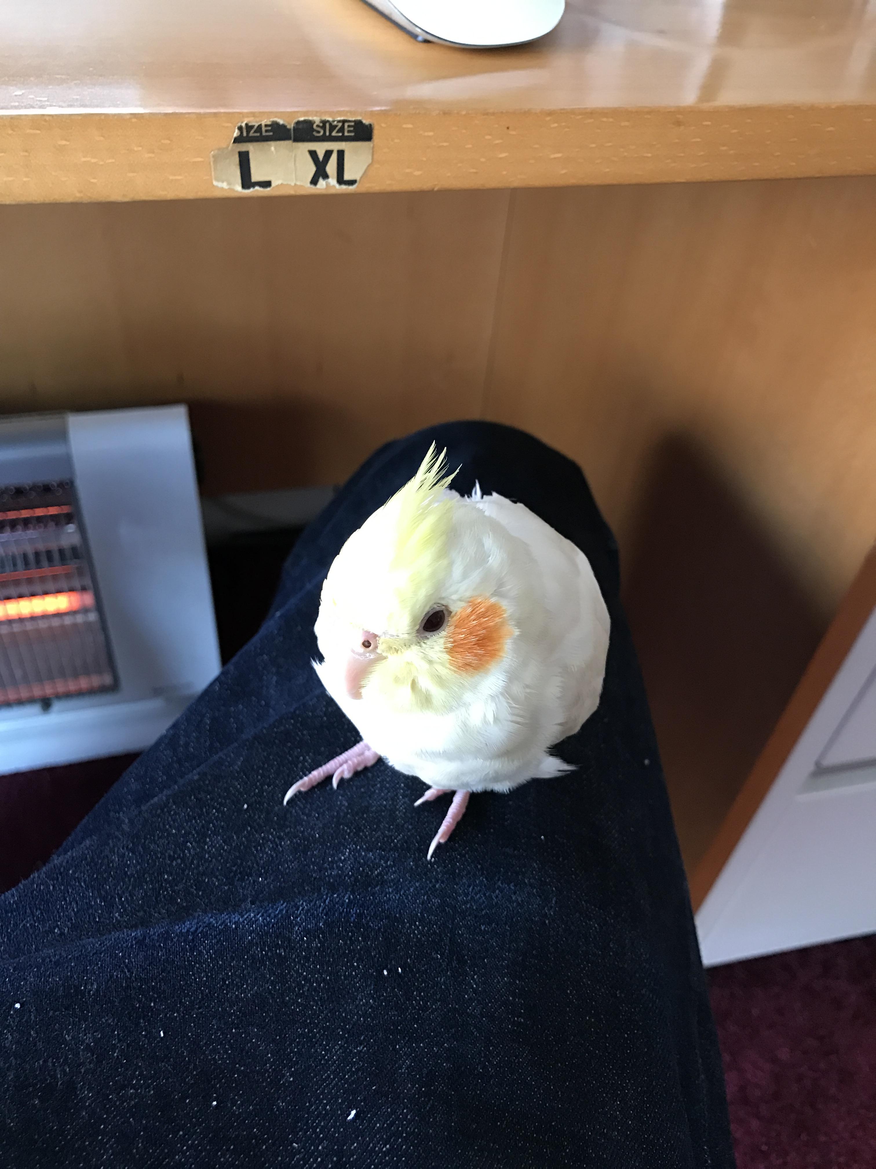 ユーザーの写真