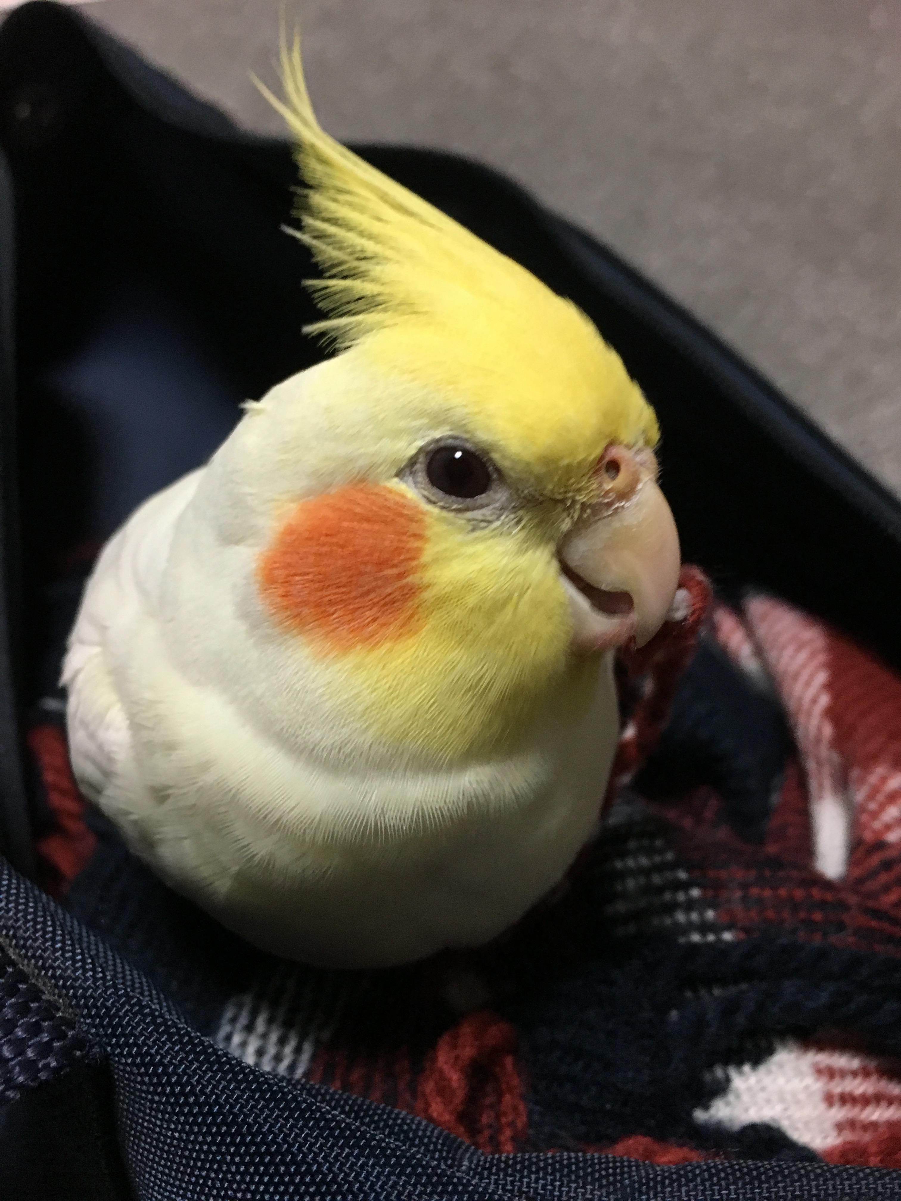 ユーザーの写真