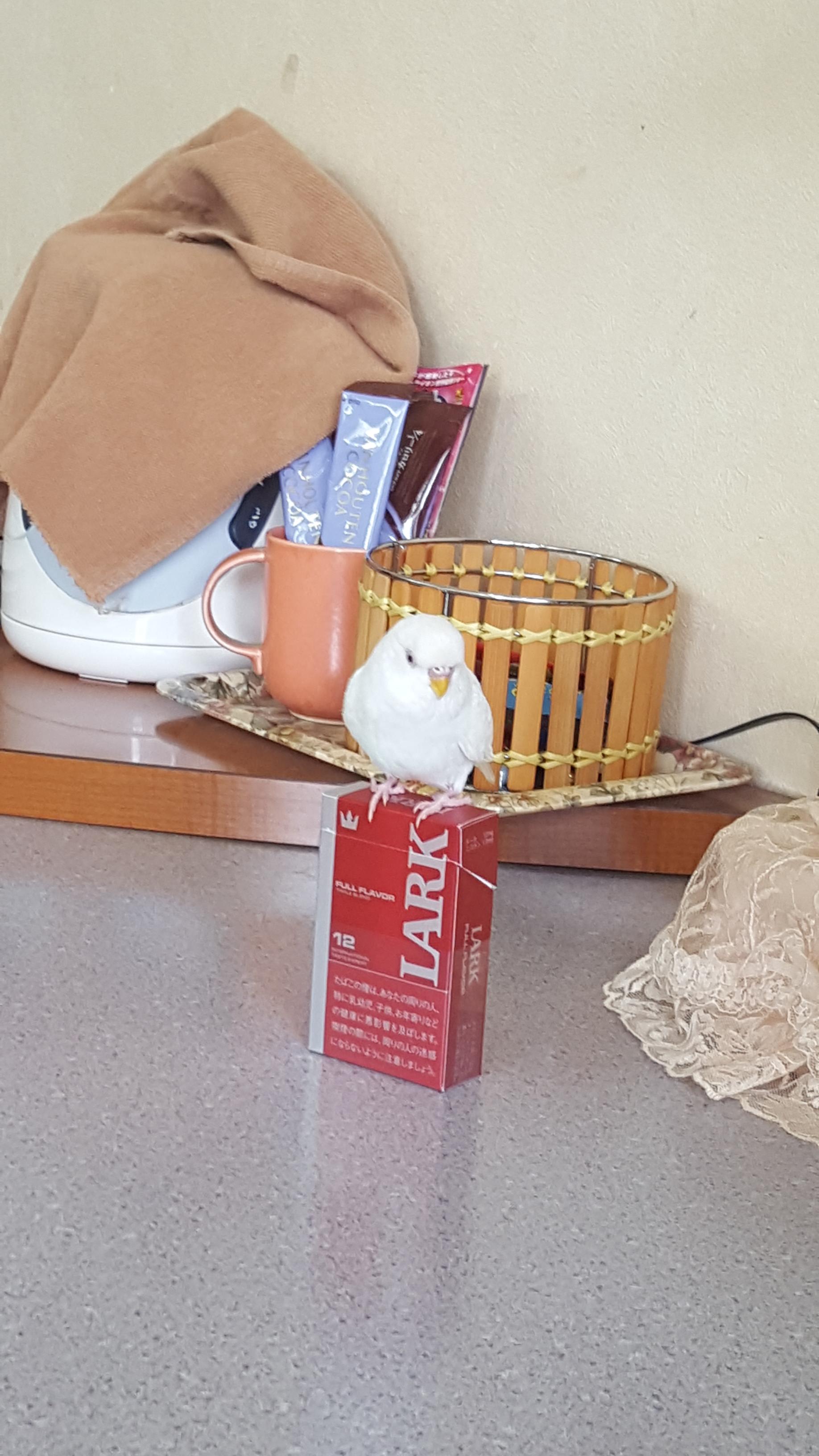 ユーザーの写真