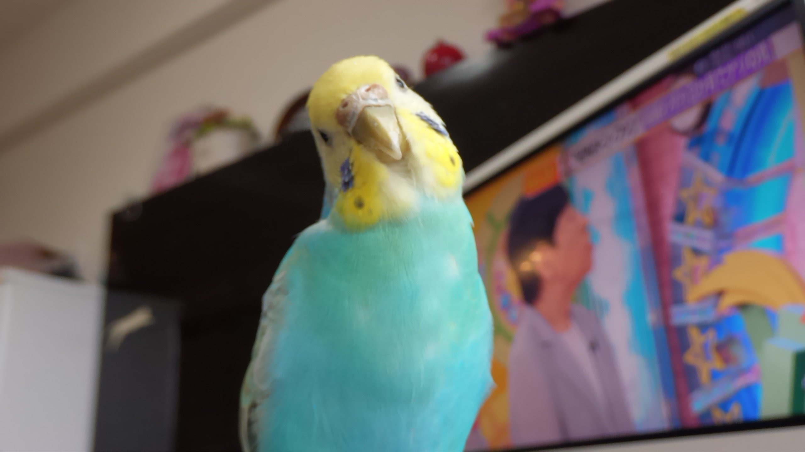 ユーザーの写真