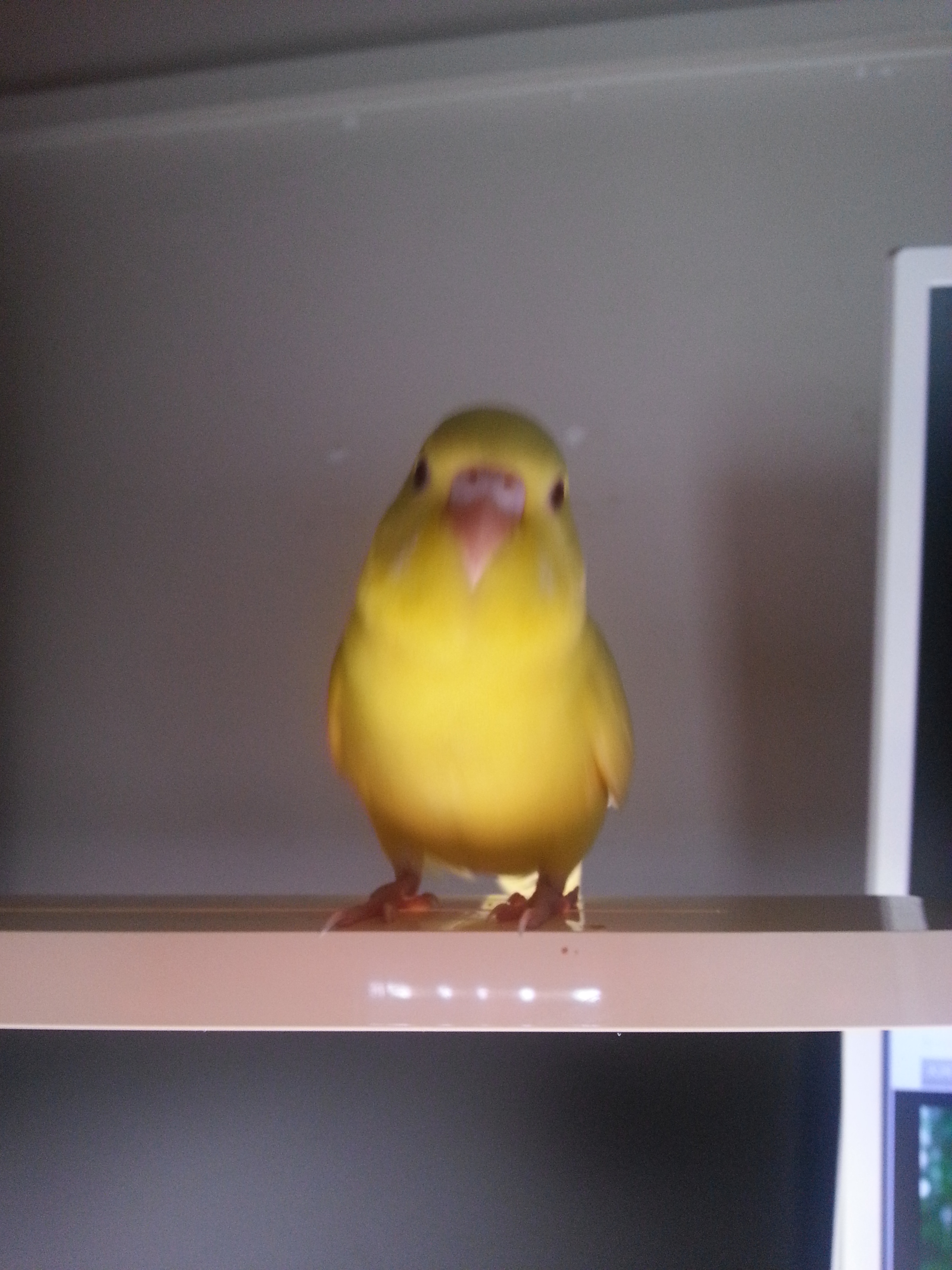 ユーザーの写真