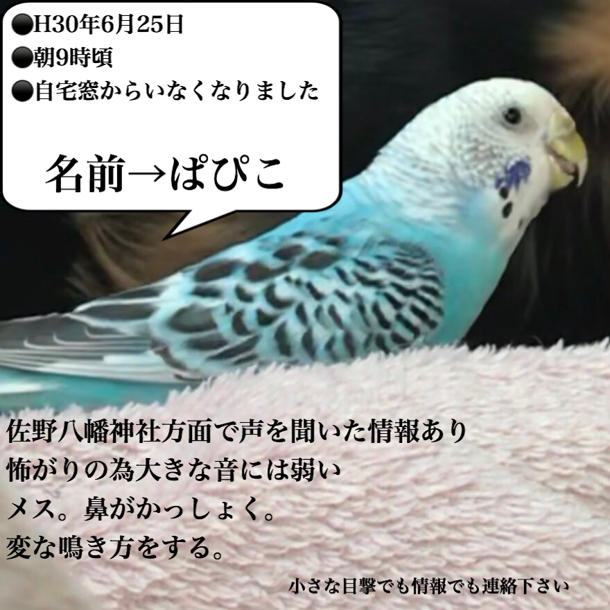 ユーザーの写真