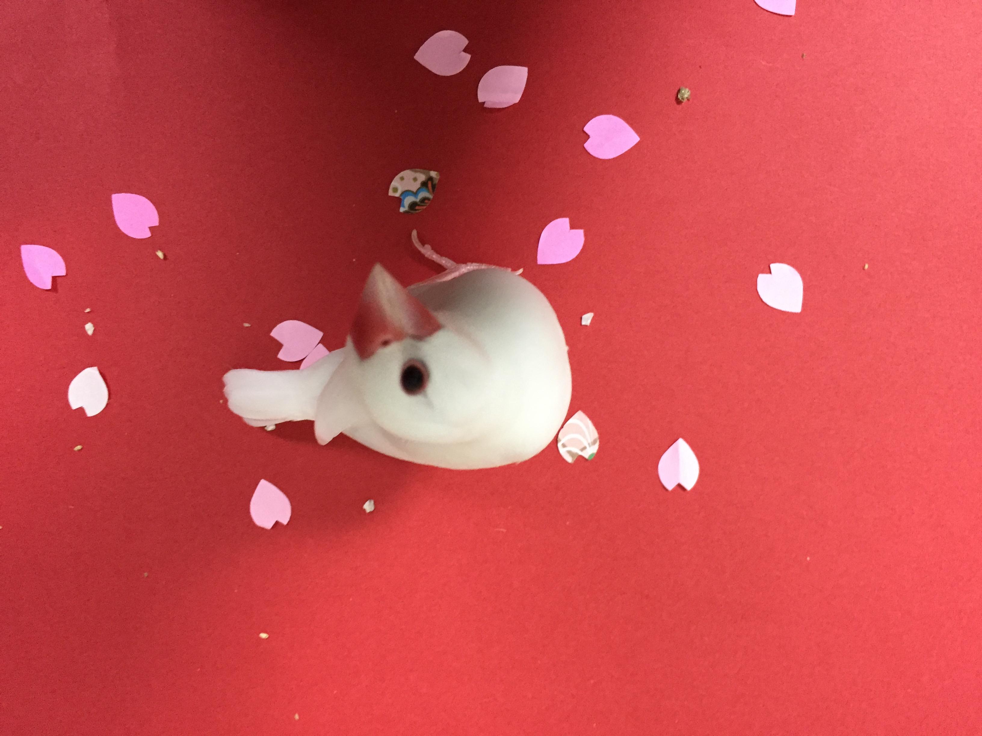 ユーザーの写真