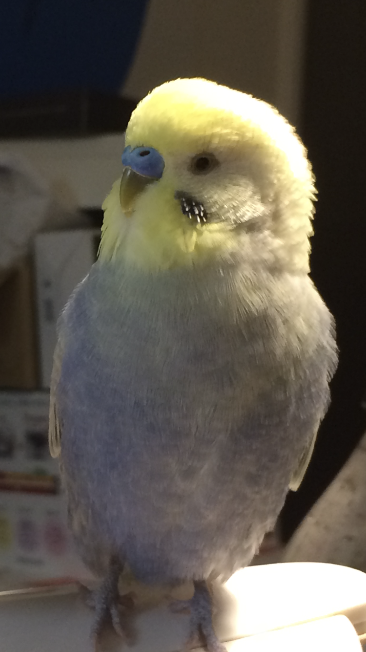ユーザーの写真