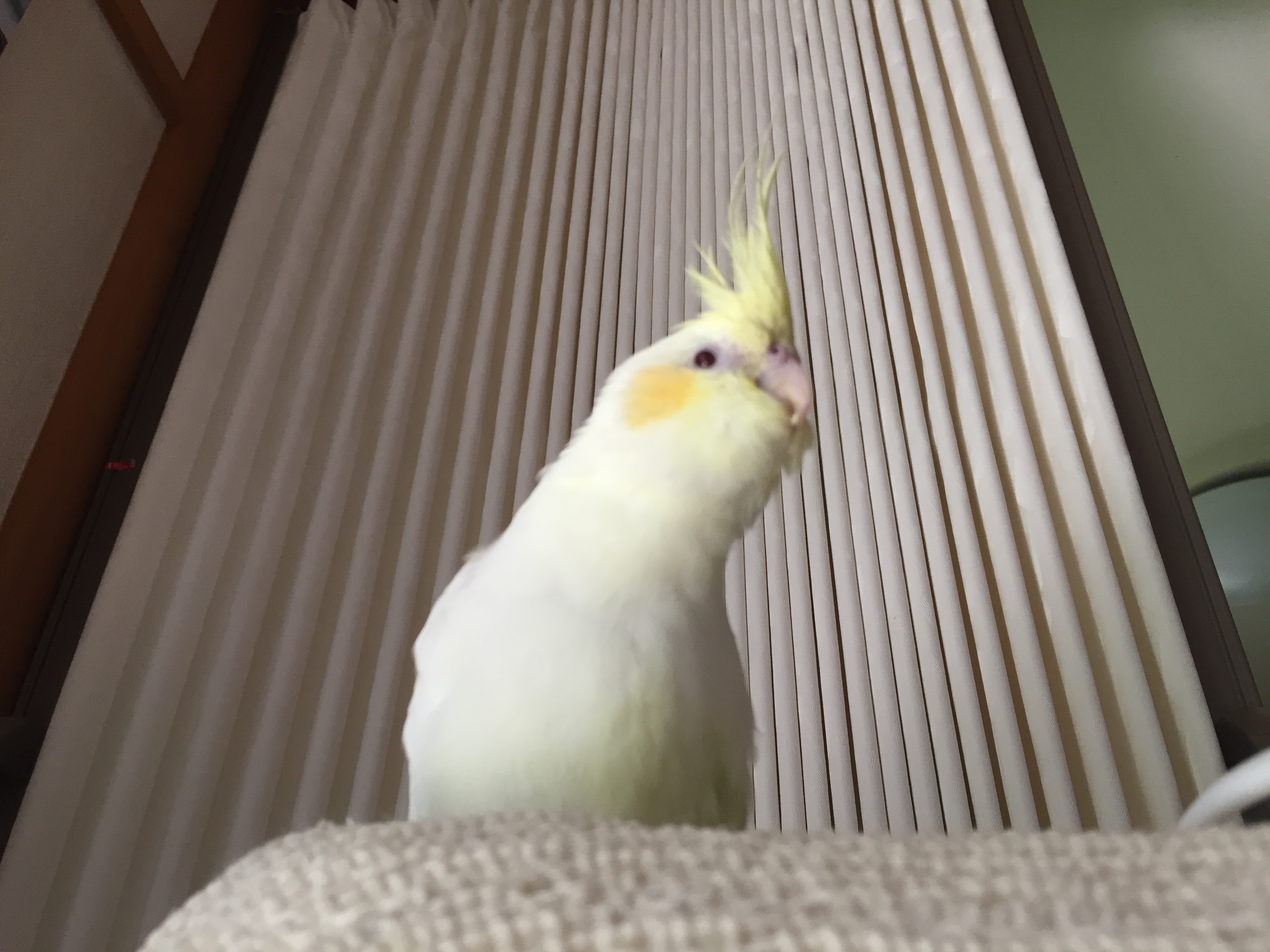 ユーザーの写真