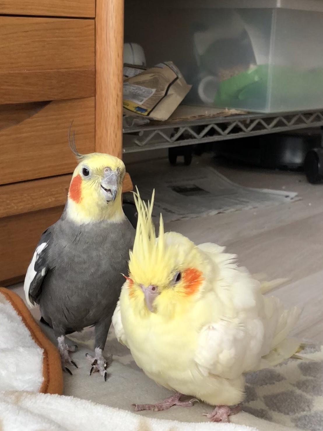 ユーザーの写真