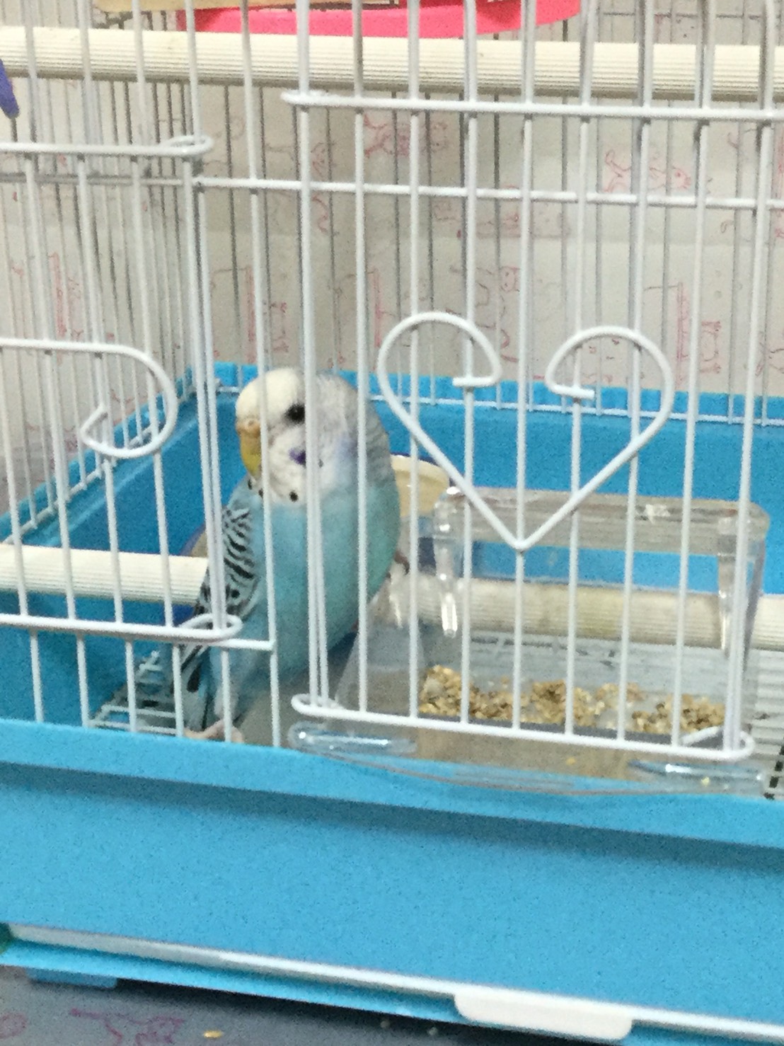 ユーザーの写真