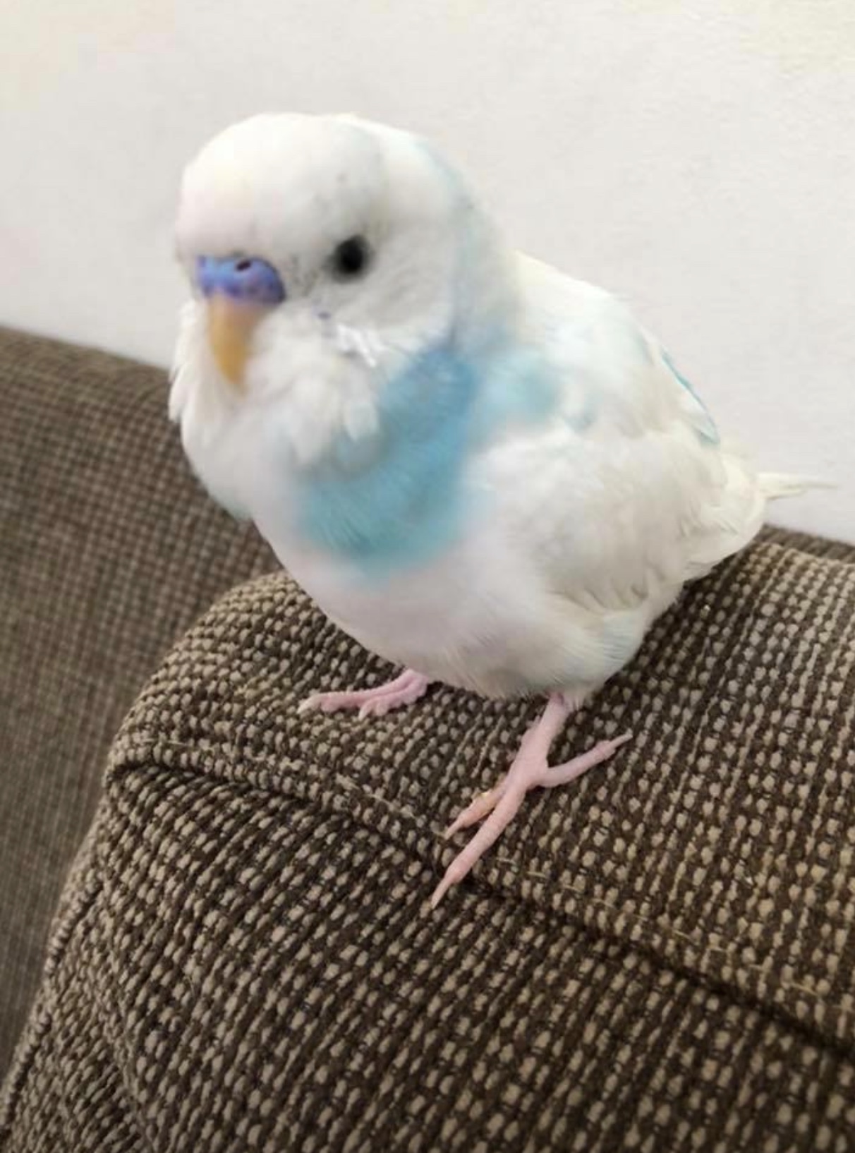 ユーザーの写真