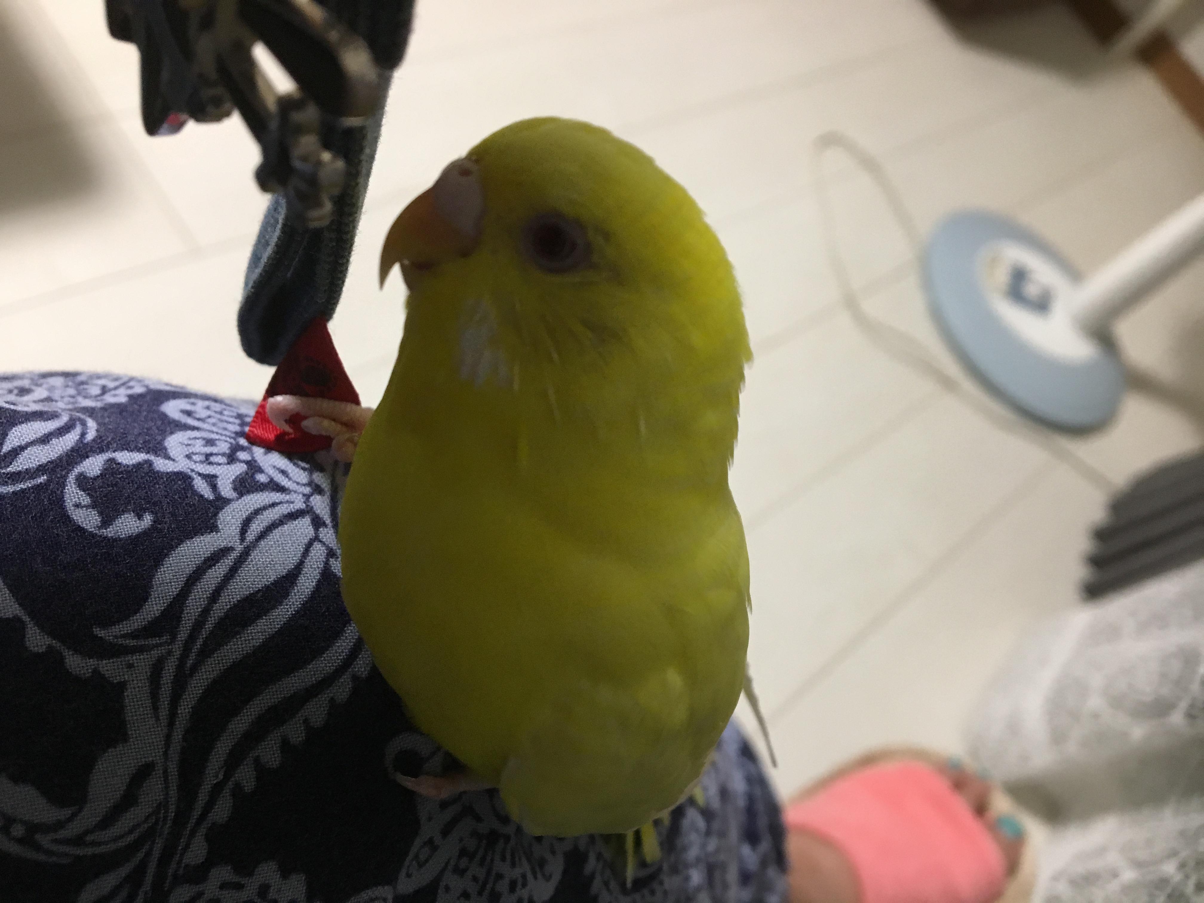 ユーザーの写真